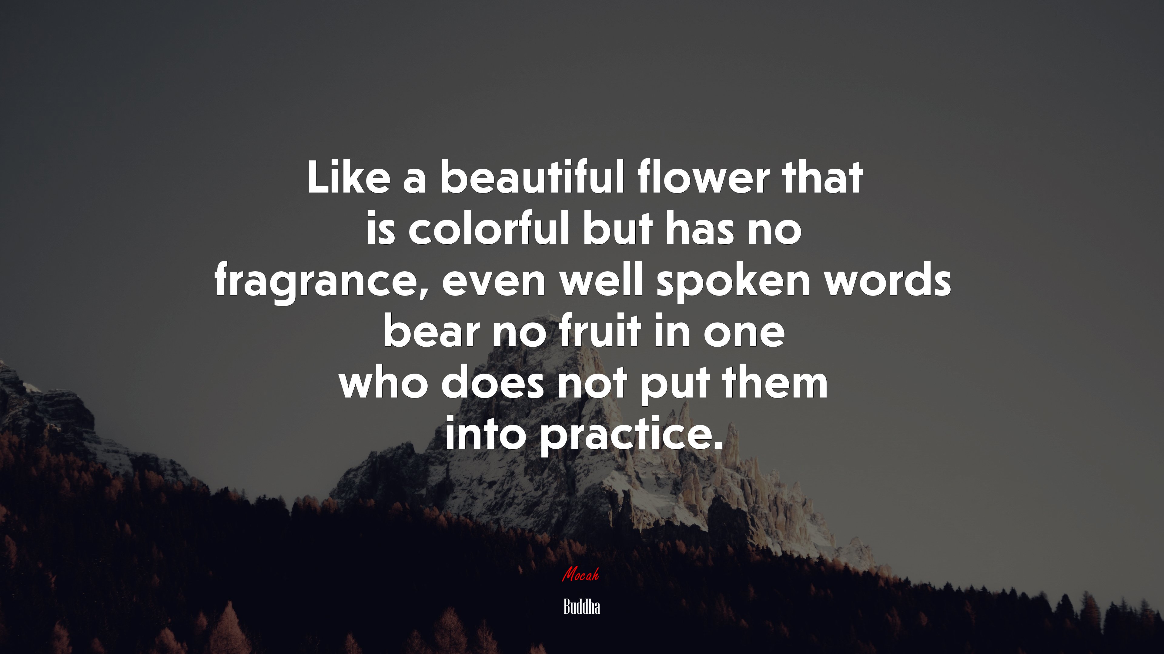 Like a beautiful flower that is colorful but has no fragrance, even well spoken words bear no fruit in one who does not put them into practice. | Buddha quote HD Wallpaper