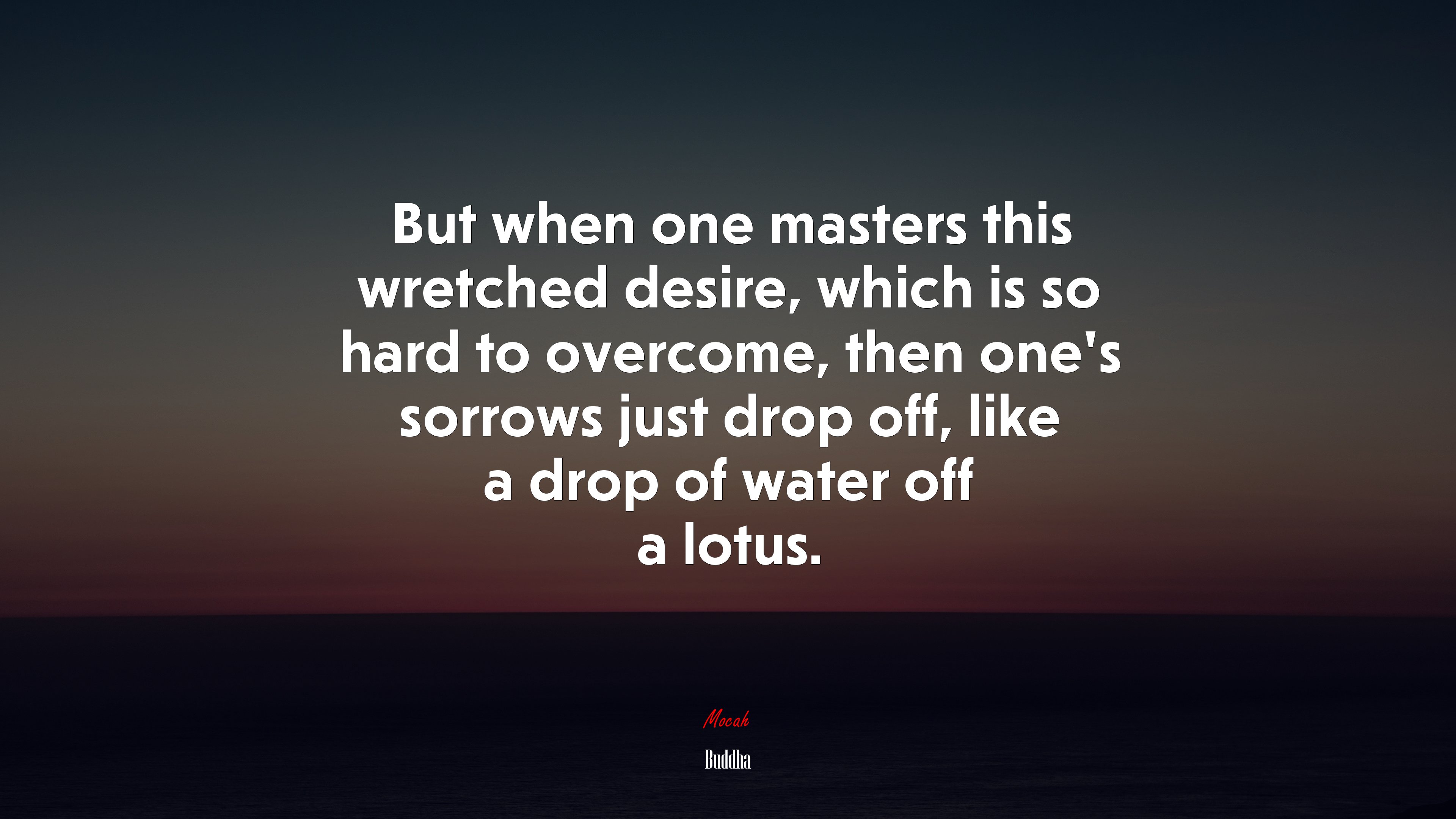 But when one masters this wretched desire, which is so hard to overcome, then one’s sorrows just drop off, like a drop of water off a lotus. | Buddha quote HD Wallpaper