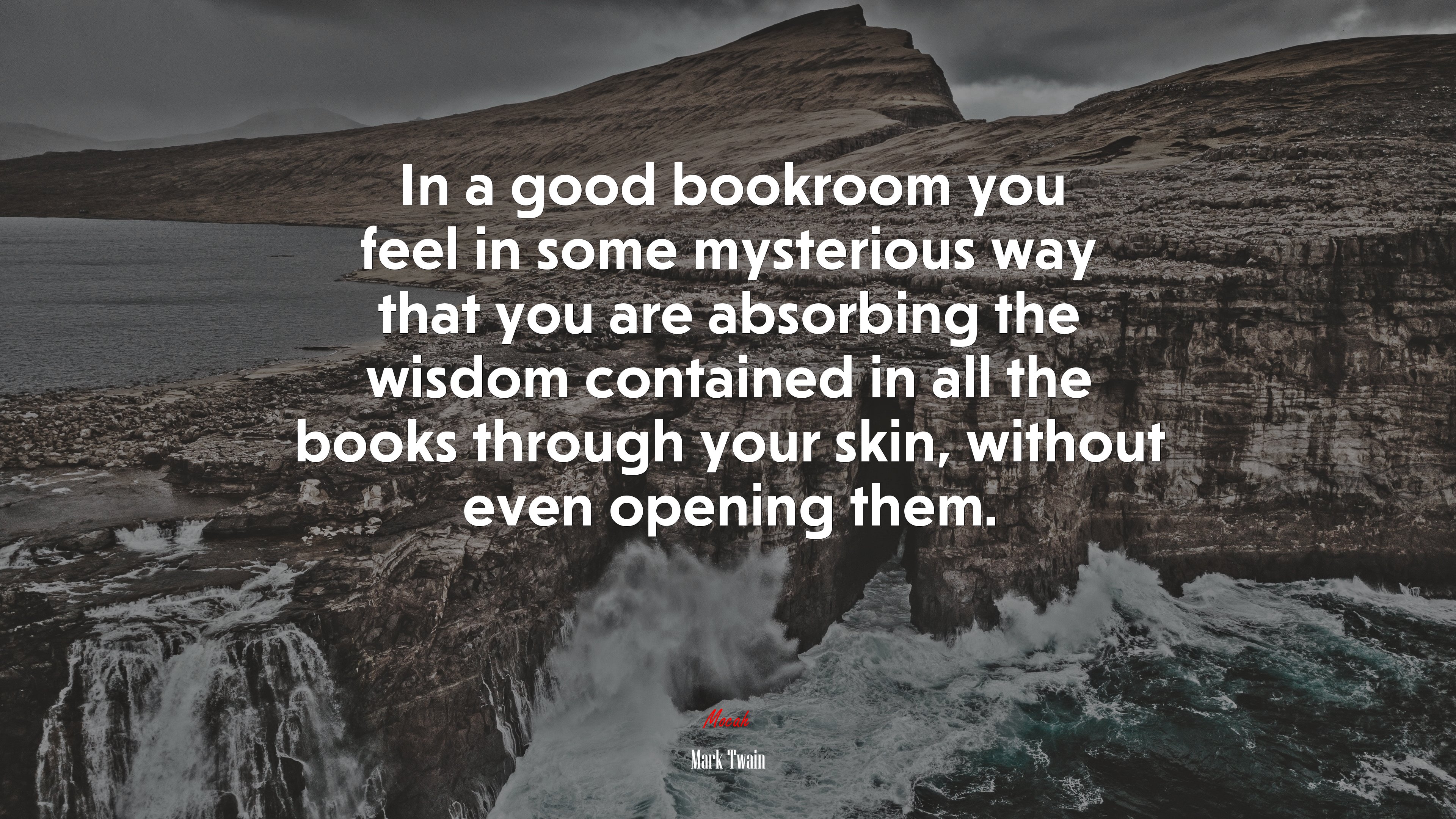 In a good bookroom you feel in some mysterious way that you are absorbing the wisdom contained in all the books through your skin, without even opening them. | Mark Twain quote HD Wallpaper