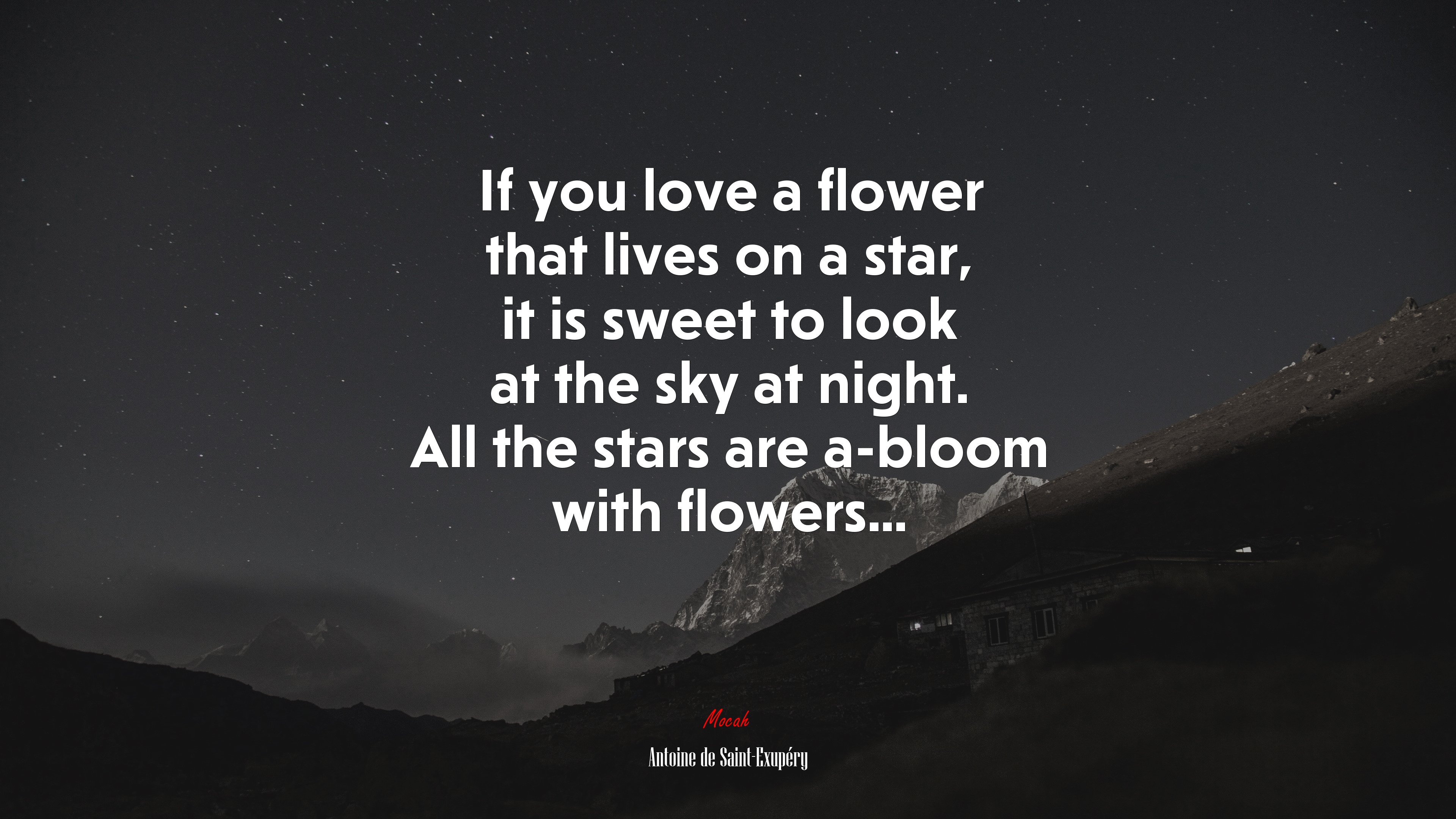 If you love a flower that lives on a star, it is sweet to look at the sky at night. All the stars are a-bloom with flowers... | Antoine de Saint-Exupéry quote HD Wallpaper