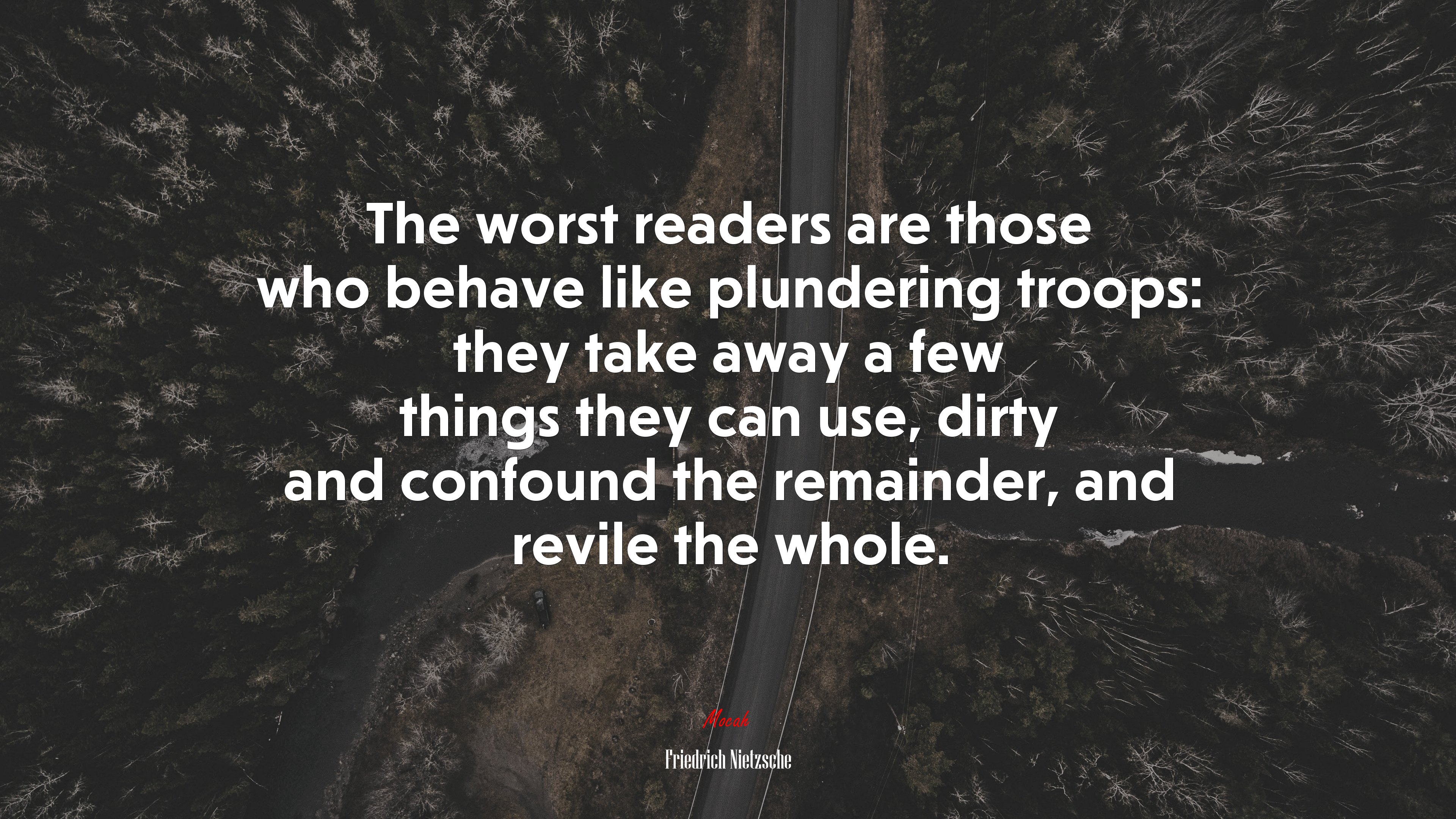 The worst readers are those who behave like plundering troops: they take away a few things they can use, dirty and confound the remainder, and revile the whole. | Friedrich Nietzsche quote HD Wallpaper