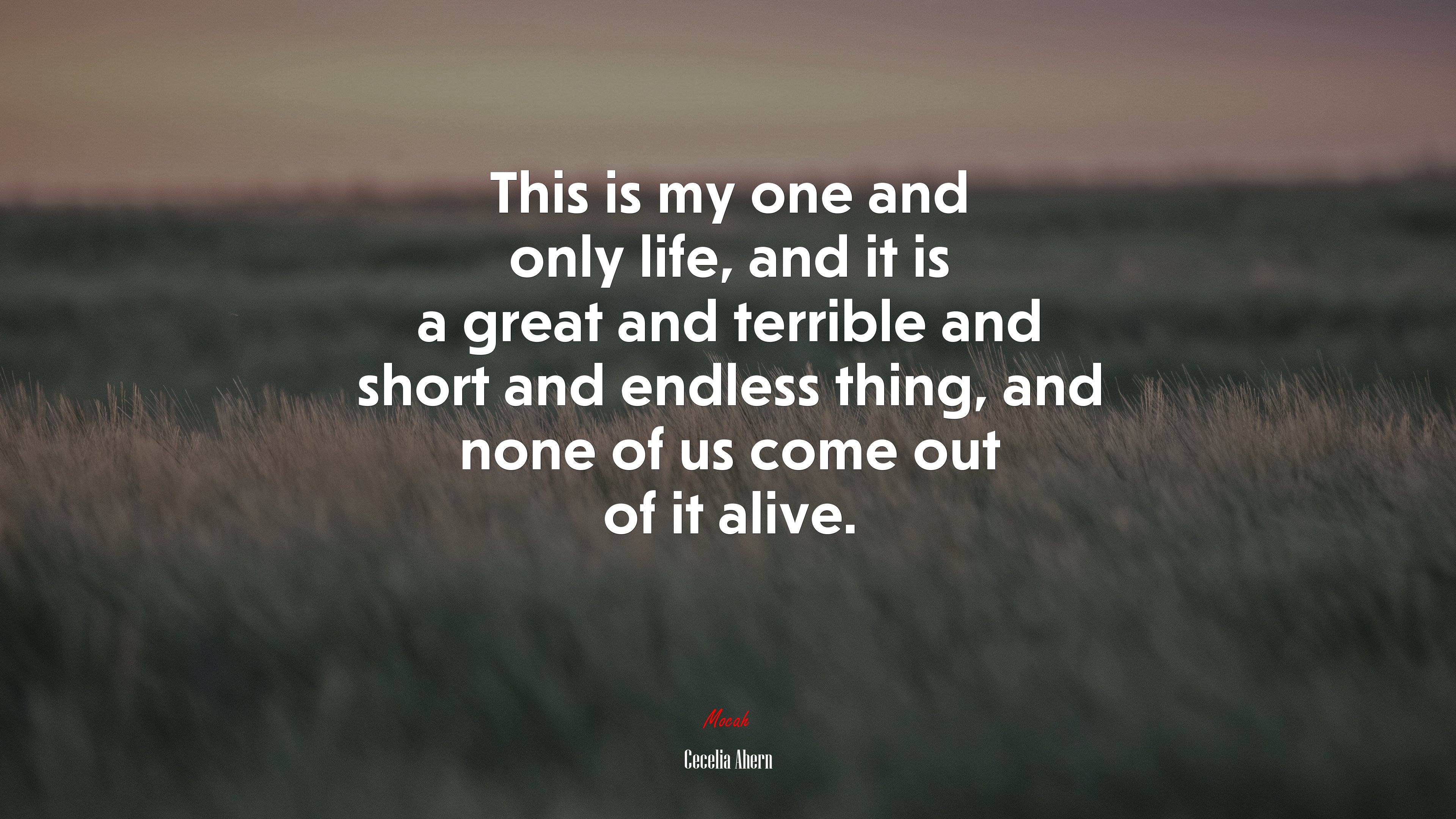 This is my one and only life, and it is a great and terrible and short and endless thing, and none of us come out of it alive. | Cecelia Ahern quote HD Wallpaper