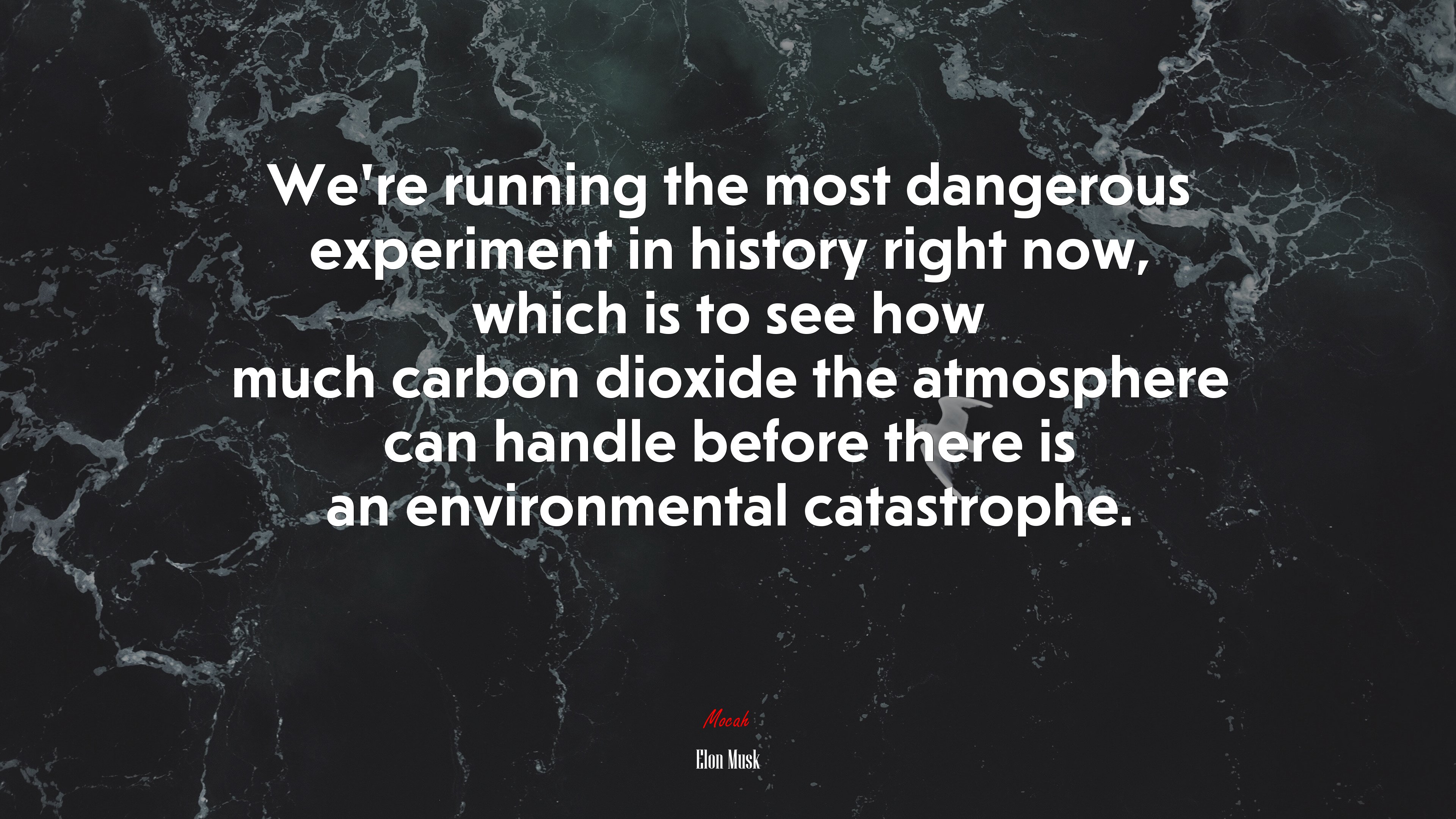 We’re running the most dangerous experiment in history right now, which is to see how much carbon dioxide the atmosphere can handle before there is an environmental catastrophe. | Elon Musk quote HD Wallpaper