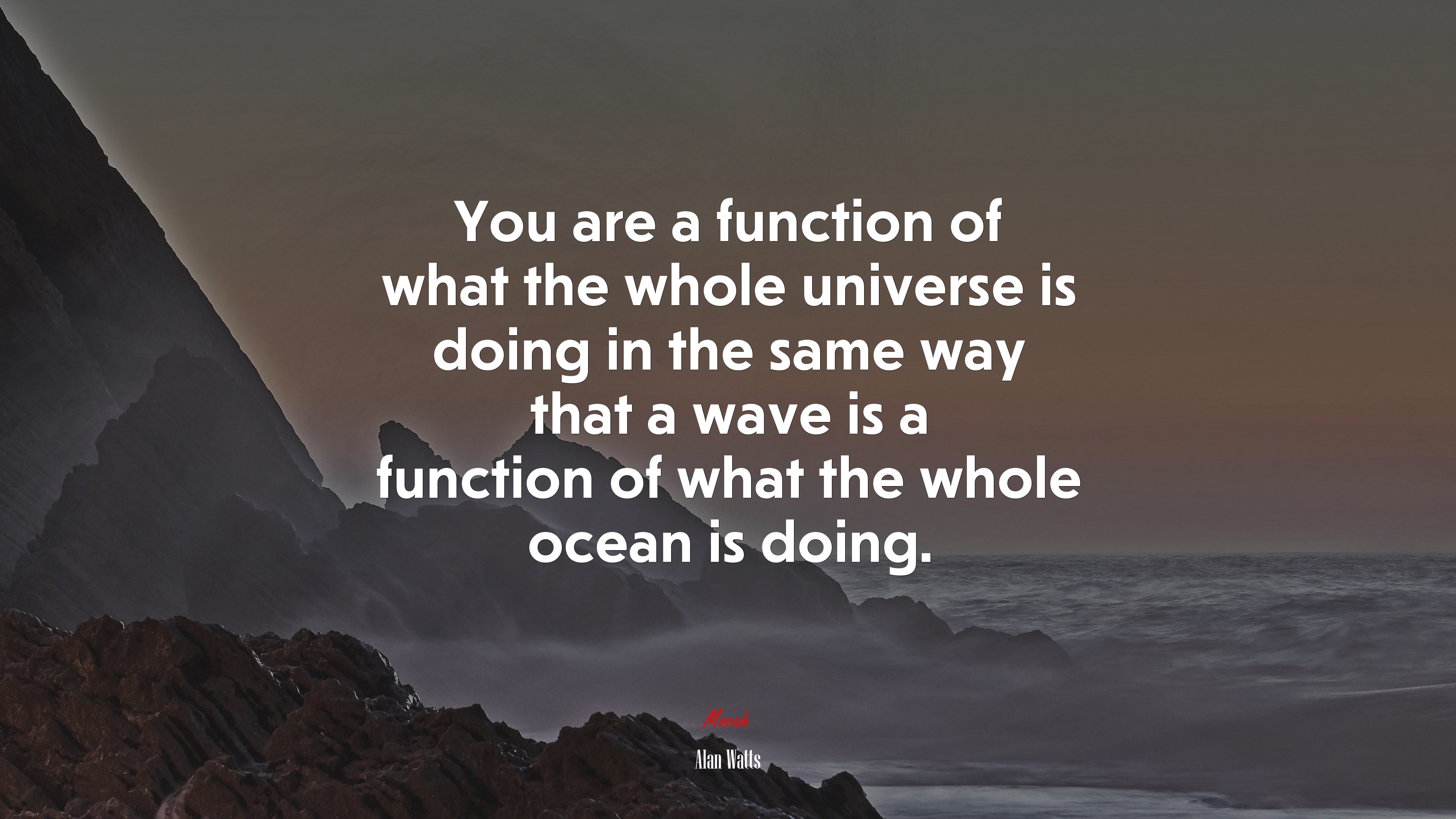 You are a function of what the whole universe is doing in the same way that a wave is a function of what the whole ocean is doing. | Alan Watts quote HD Wallpaper