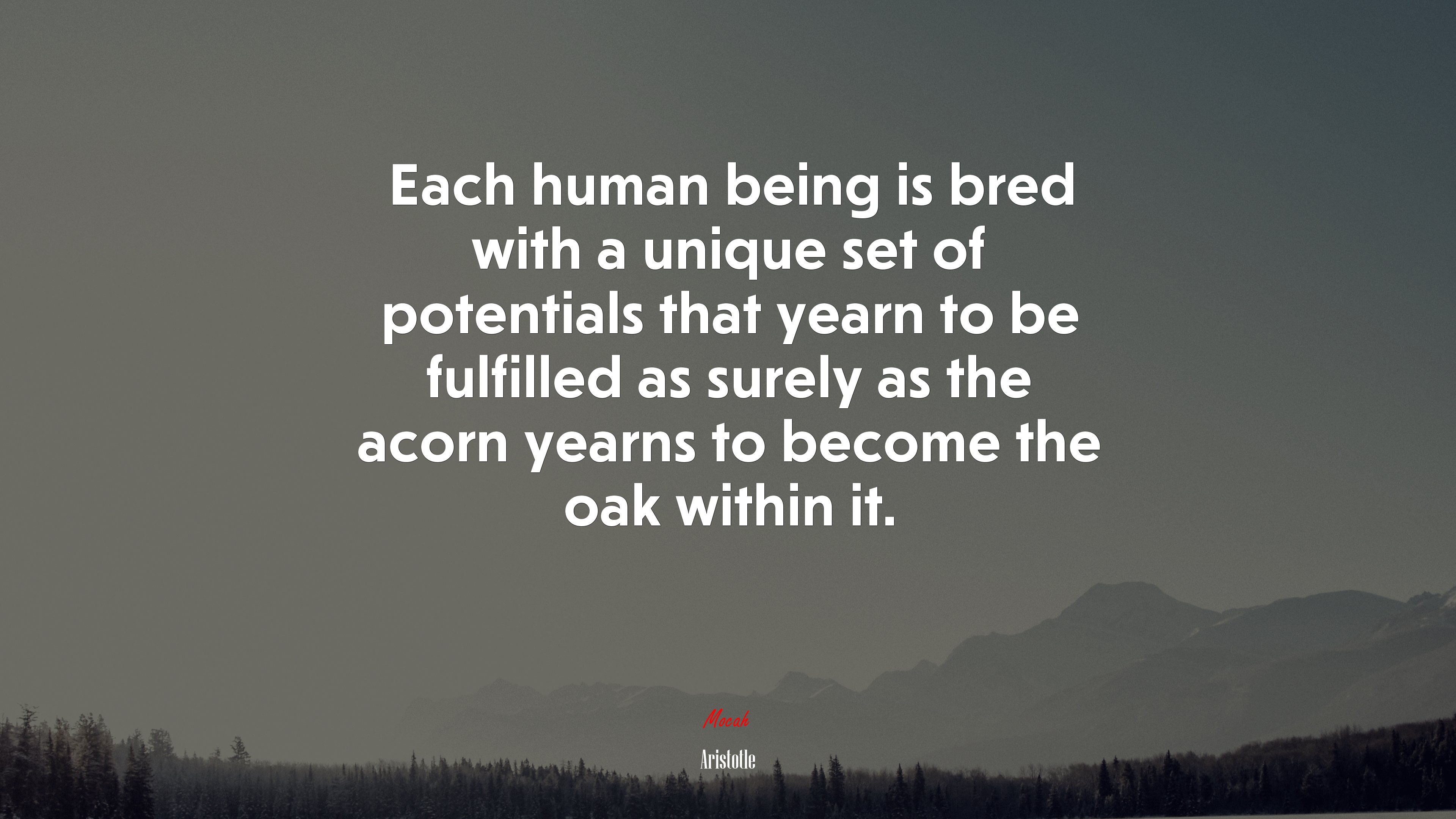 Each human being is bred with a unique set of potentials that yearn to be fulfilled as surely as the acorn yearns to become the oak within it. | Aristotle quote HD Wallpaper