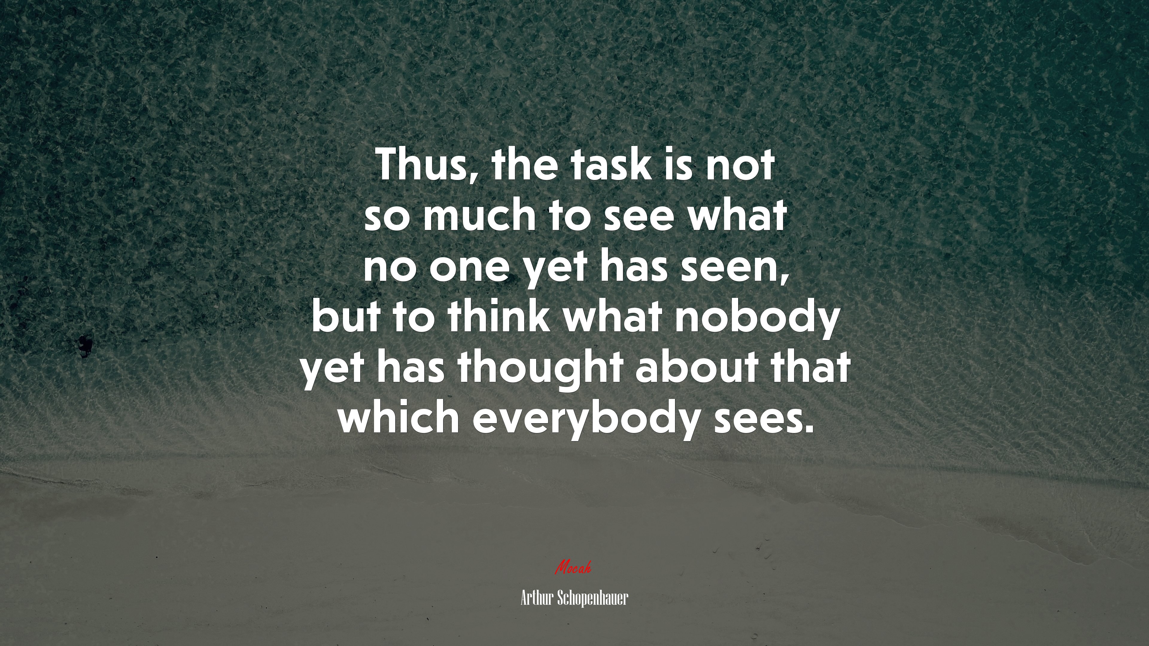 Thus, the task is not so much to see what no one yet has seen, but to think what nobody yet has thought about that which everybody sees. | Arthur Schopenhauer quote HD Wallpaper