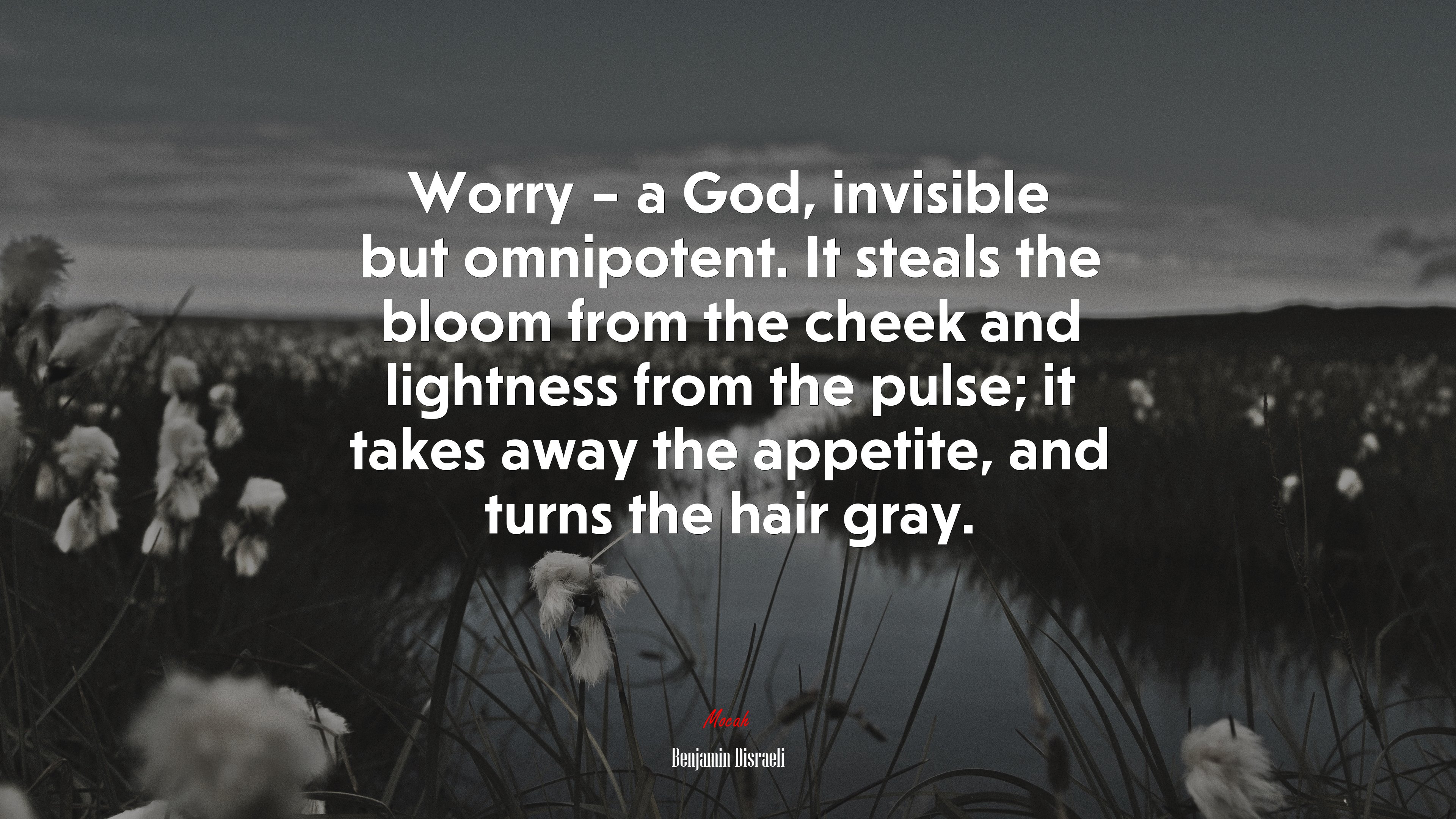 Worry – a God, invisible but omnipotent. It steals the bloom from the cheek and lightness from the pulse; it takes away the appetite, and turns the hair gray. | Benjamin Disraeli quote HD Wallpaper
