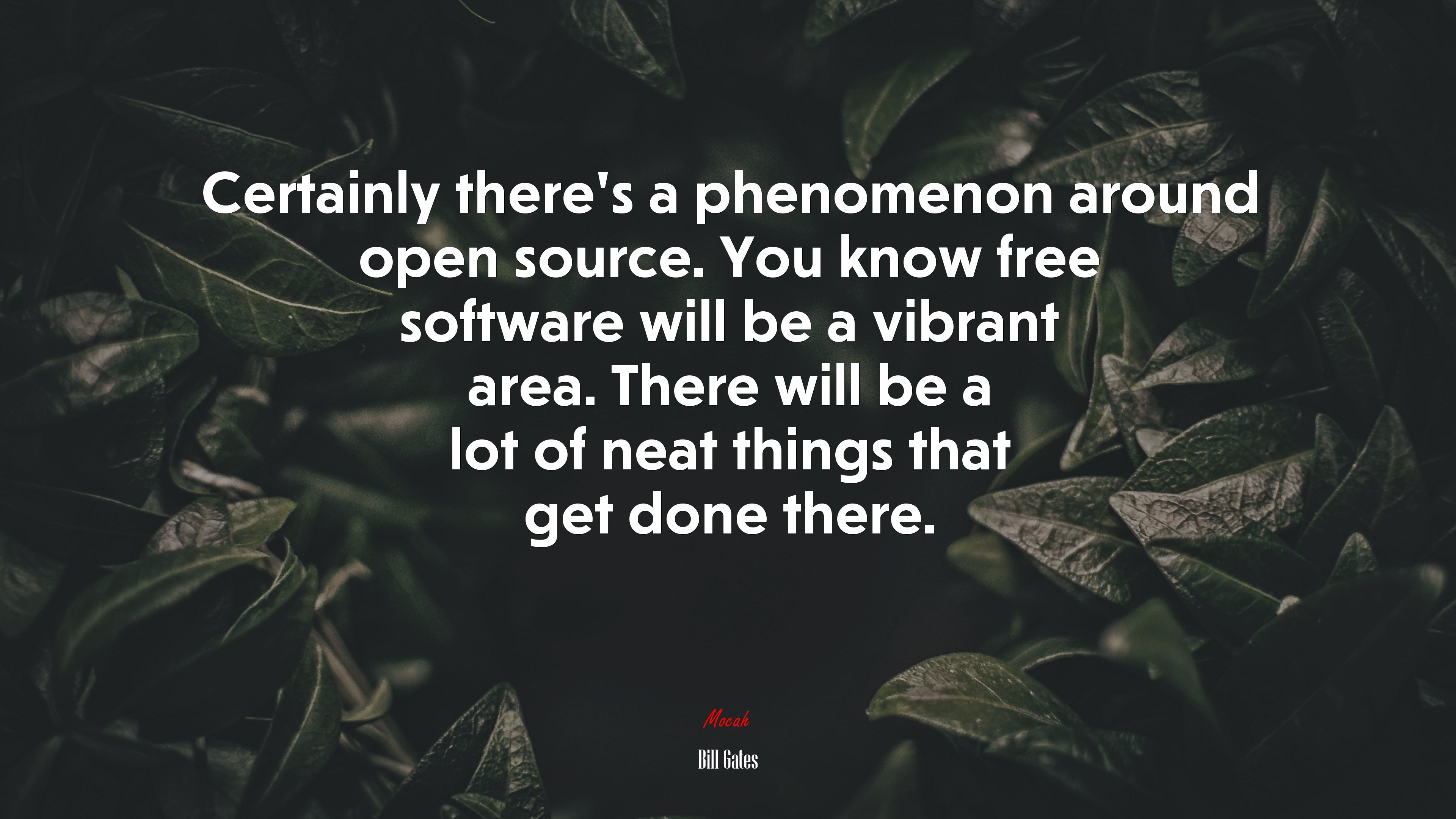 Certainly there’s a phenomenon around open source. You know free software will be a vibrant area. There will be a lot of neat things that get done there. | Bill Gates quote HD Wallpaper