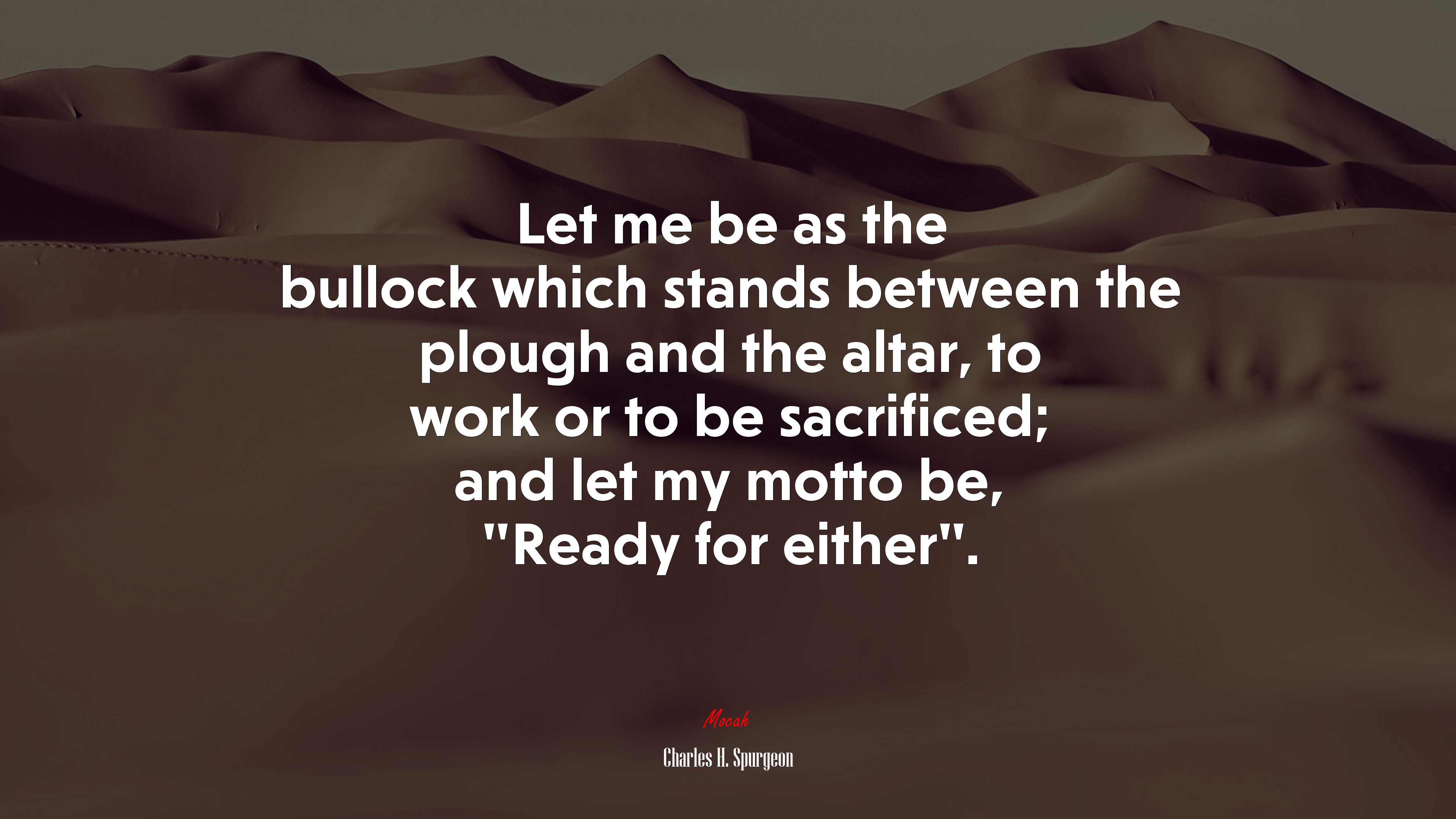Let me be as the bullock which stands between the plough and the altar, to work or to be sacrificed; and let my motto be, “Ready for either”. | Charles H. Spurgeon quote HD Wallpaper