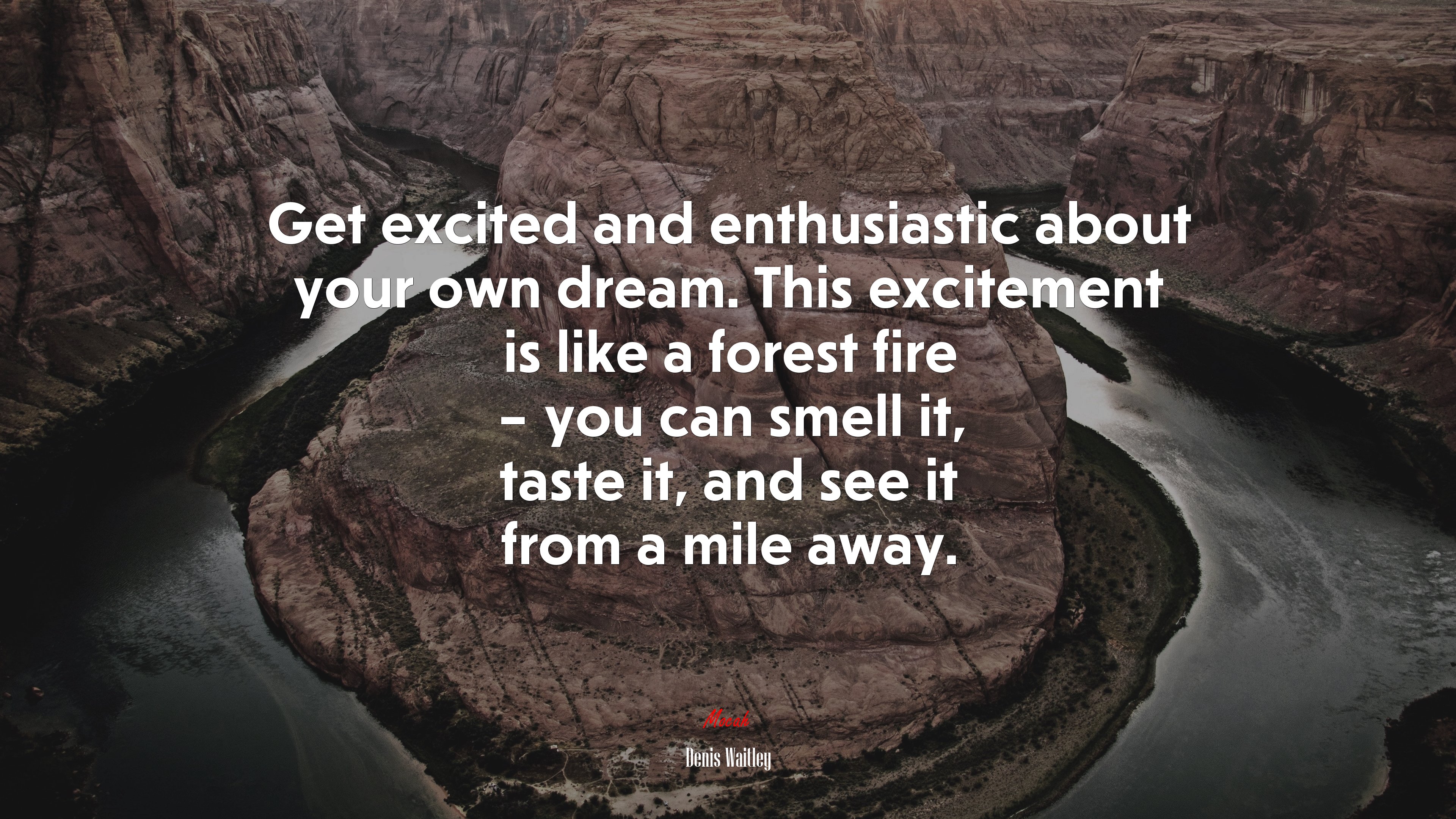 Get excited and enthusiastic about your own dream. This excitement is like a forest fire – you can smell it, taste it, and see it from a mile away. | Denis Waitley quote HD Wallpaper
