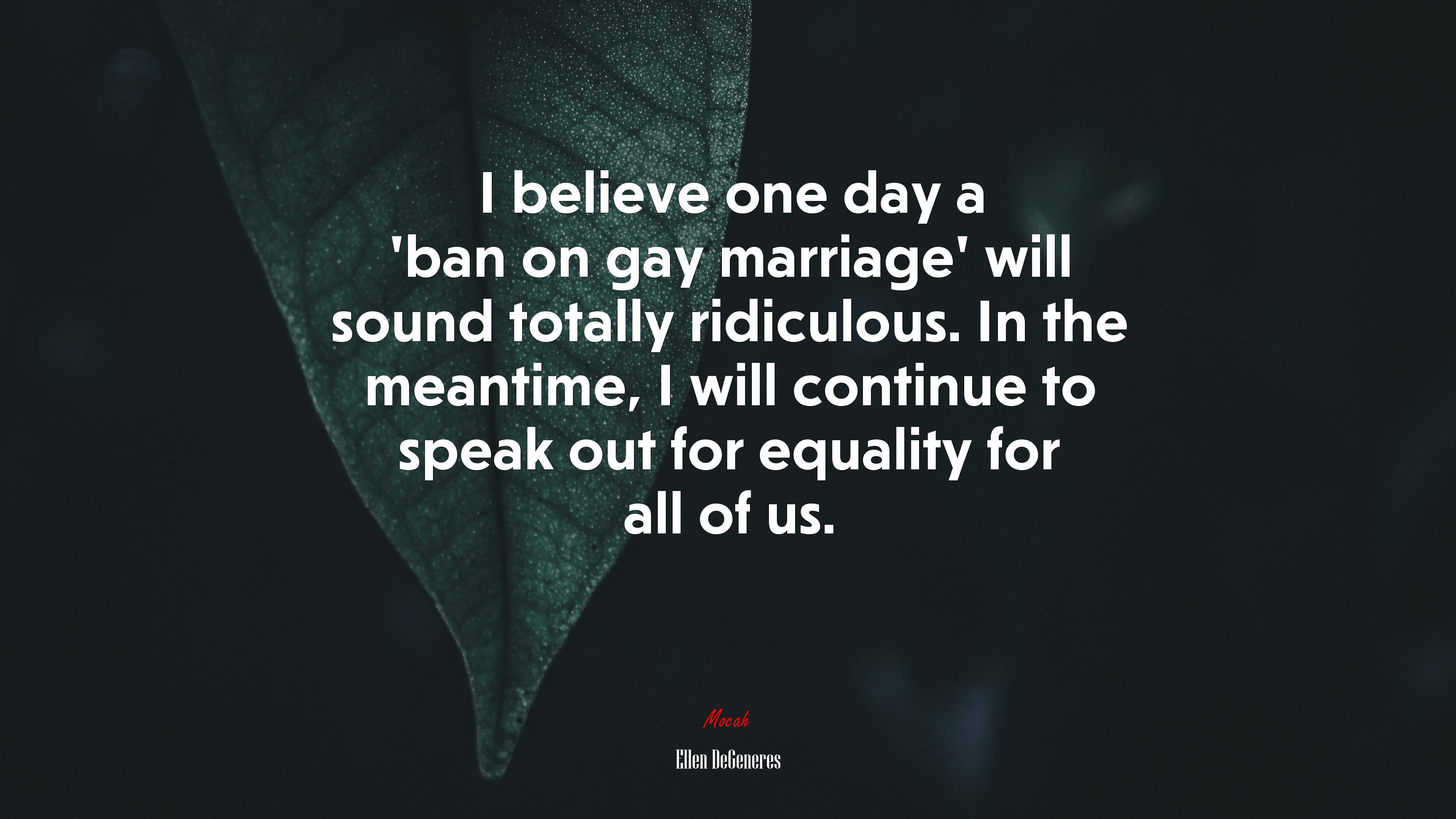 I believe one day a ‘ban on gay marriage’ will sound totally ridiculous. In the meantime, I will continue to speak out for equality for all of us. | Ellen DeGeneres quote HD Wallpaper