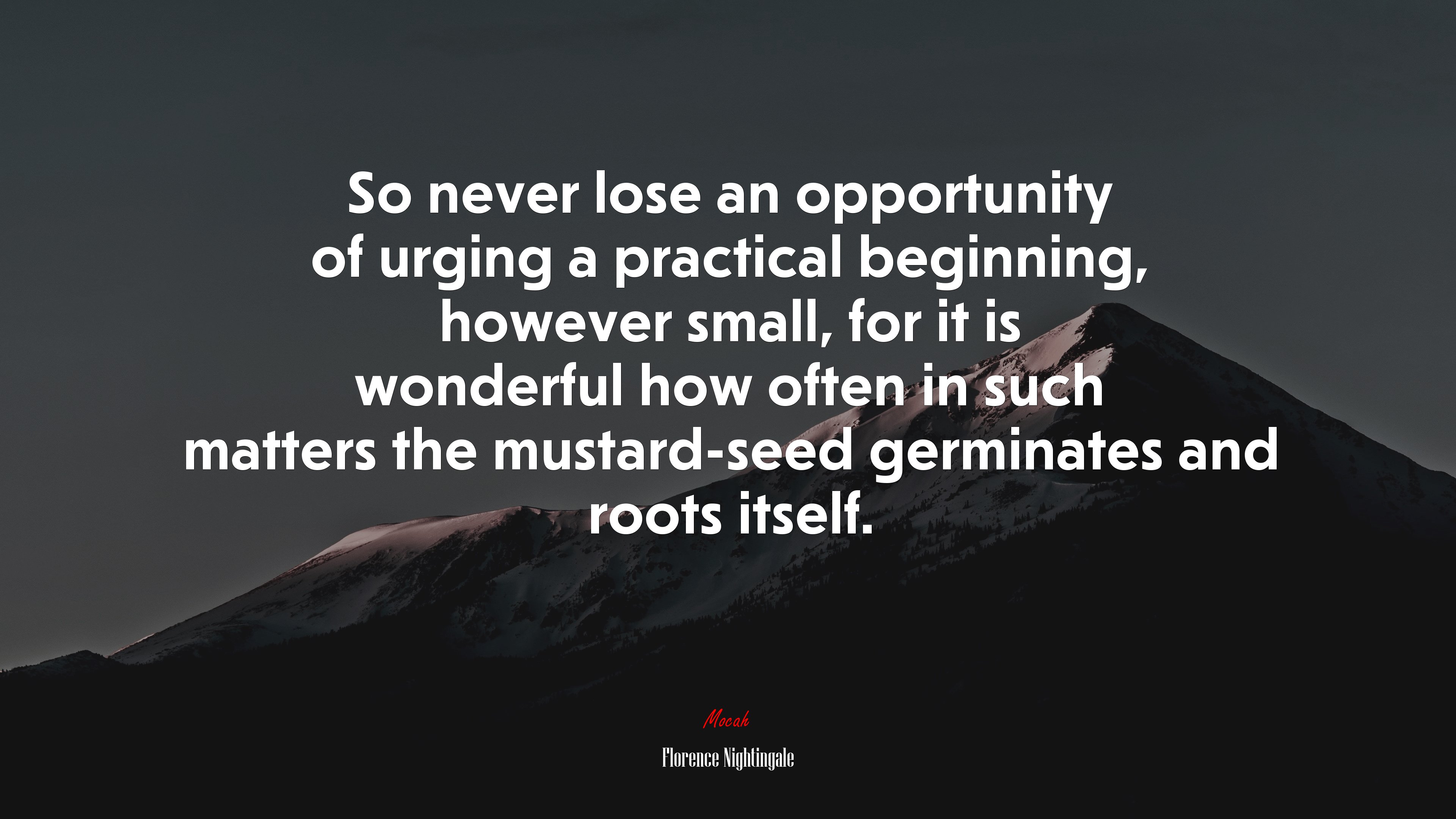 So never lose an opportunity of urging a practical beginning, however small, for it is wonderful how often in such matters the mustard-seed germinates and roots itself. | Florence Nightingale quote HD Wallpaper