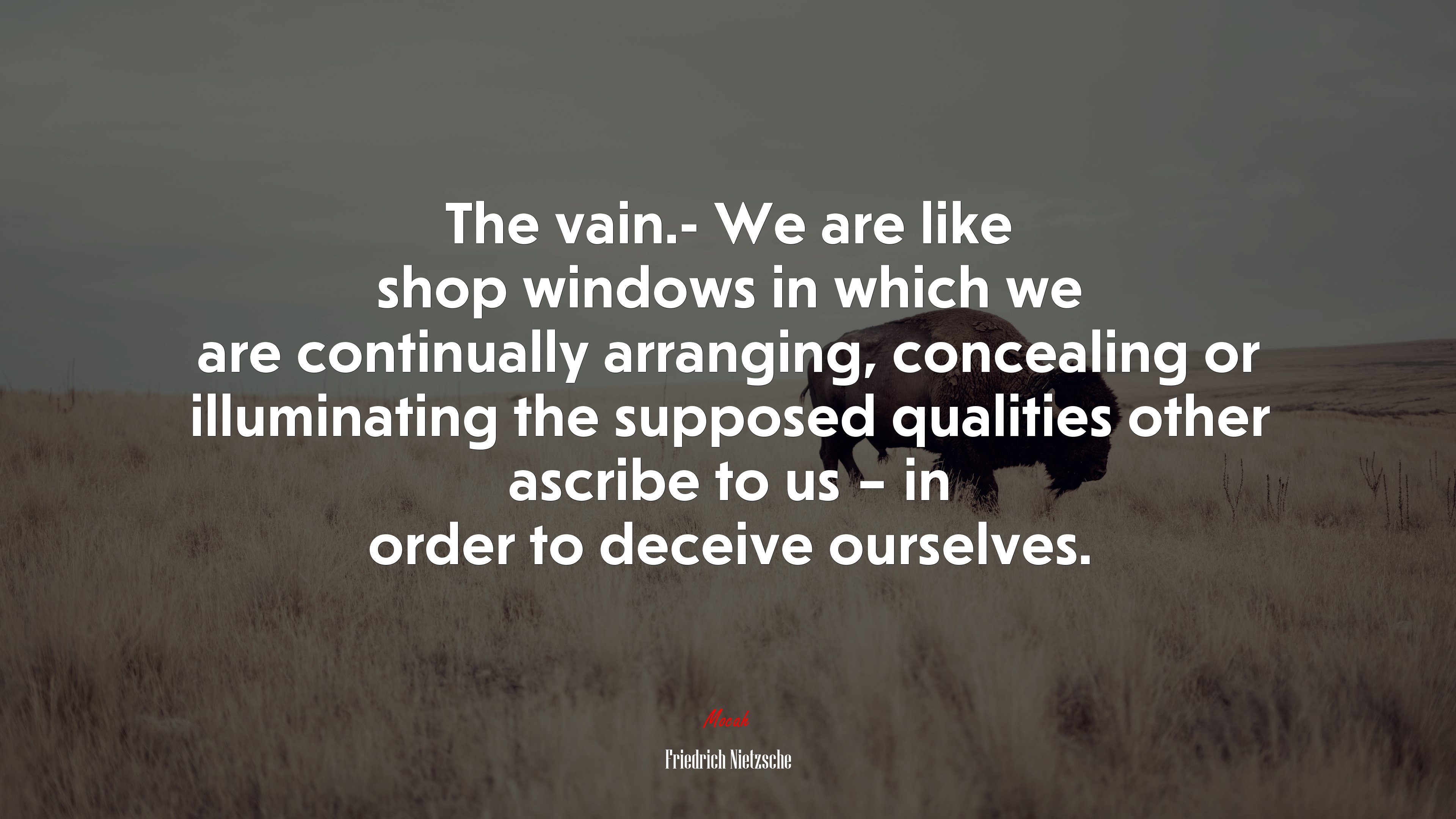 The vain.- We are like shop windows in which we are continually arranging, concealing or illuminating the supposed qualities other ascribe to us – in order to deceive ourselves. | Friedrich Nietzsche quote HD Wallpaper