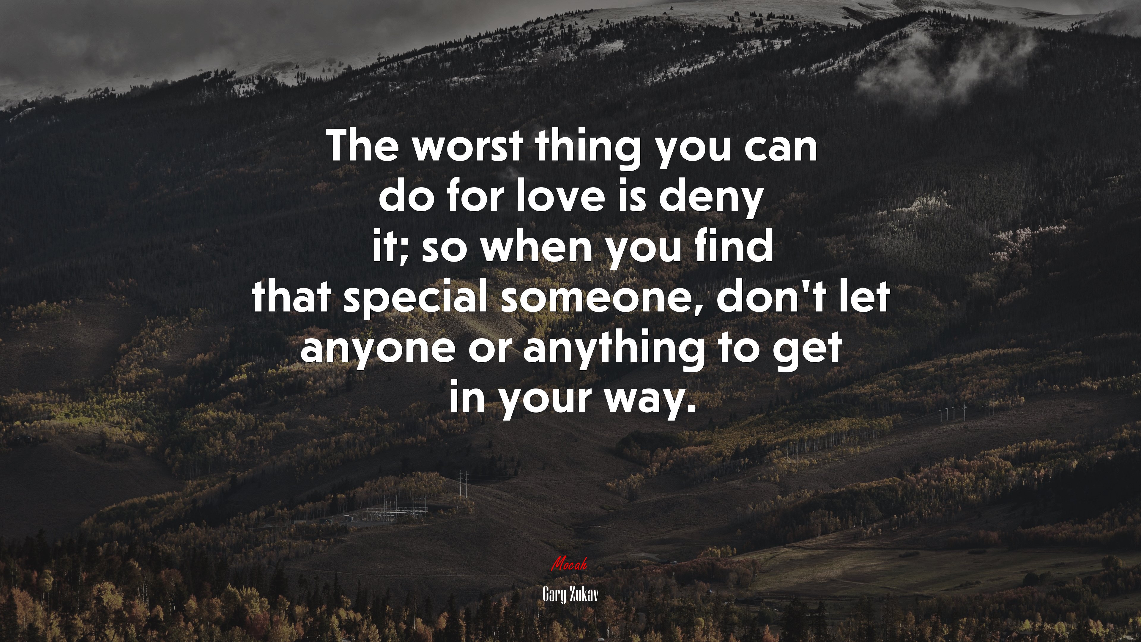 The worst thing you can do for love is deny it; so when you find that special someone, don’t let anyone or anything to get in your way. | Gary Zukav quote HD Wallpaper