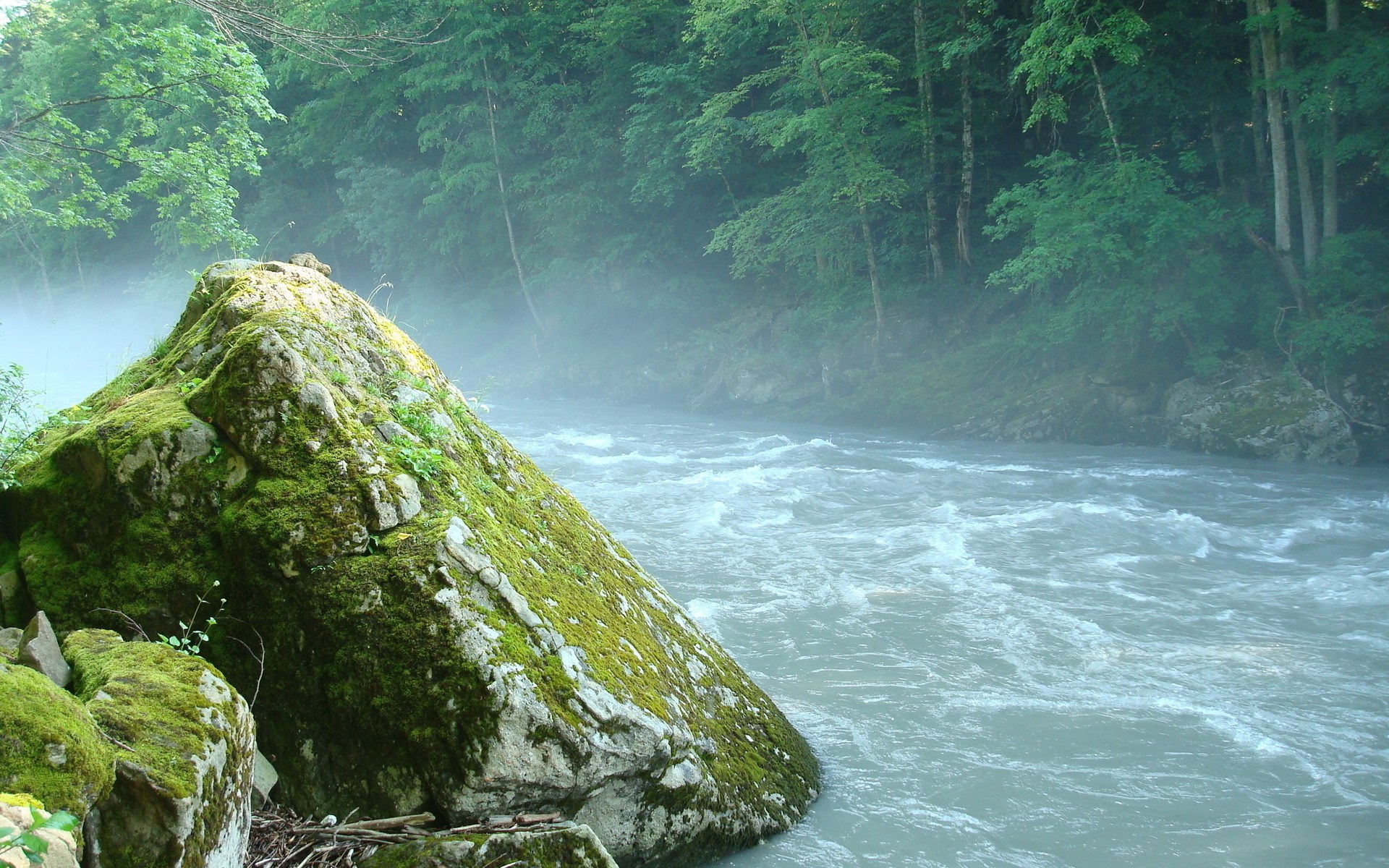 Mossy rock by a misty river in a forest HD Wallpaper