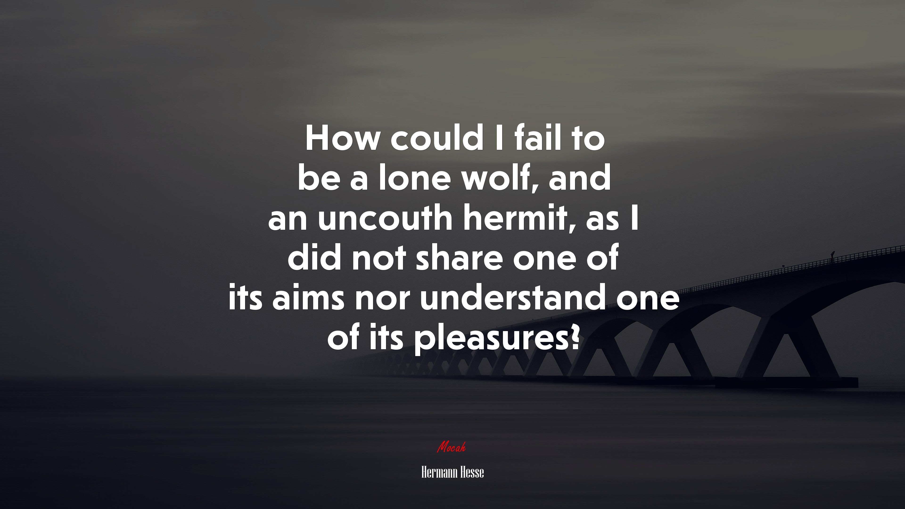 How could I fail to be a lone wolf, and an uncouth hermit, as I did not share one of its aims nor understand one of its pleasures? | Hermann Hesse quote HD Wallpaper