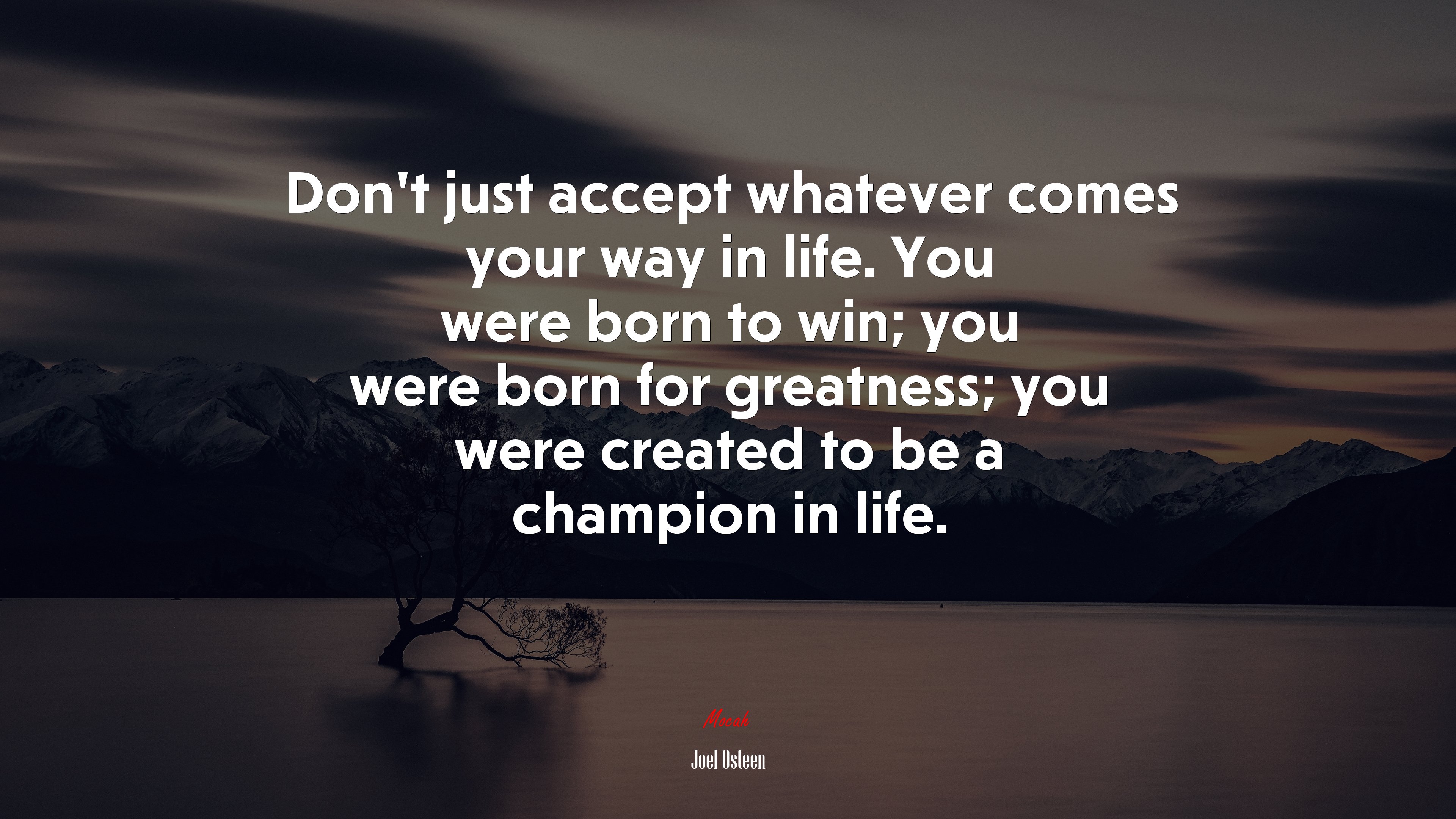 Don’t just accept whatever comes your way in life. You were born to win; you were born for greatness; you were created to be a champion in life. | Joel Osteen quote HD Wallpaper