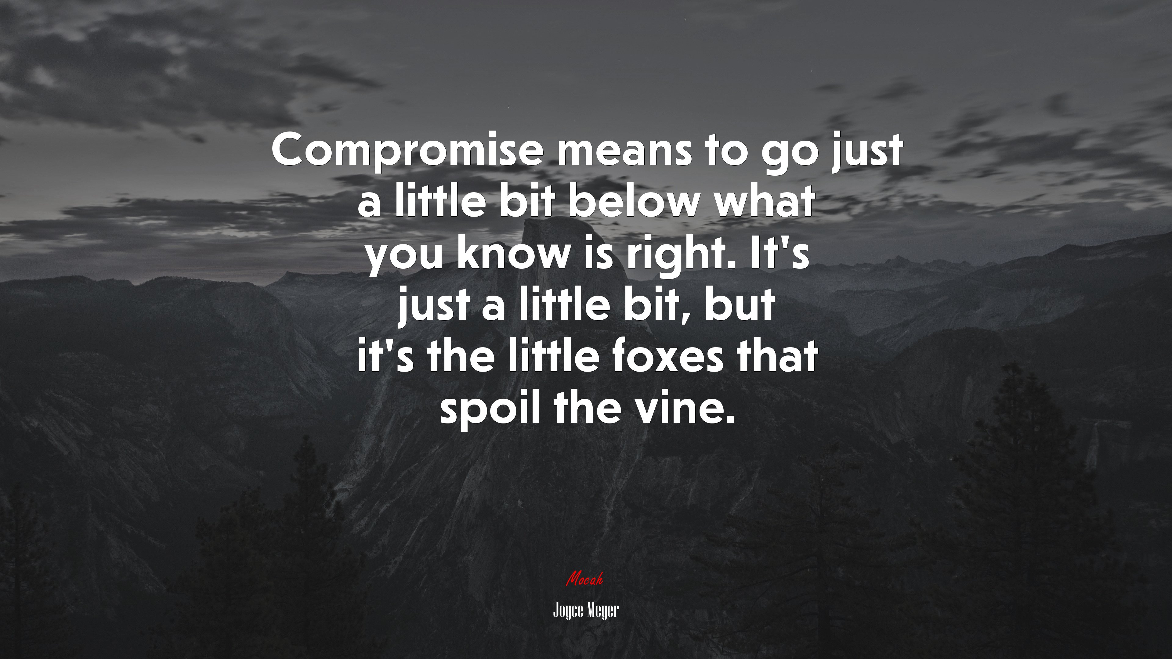 Compromise means to go just a little bit below what you know is right. It’s just a little bit, but it’s the little foxes that spoil the vine. | Joyce Meyer quote HD Wallpaper