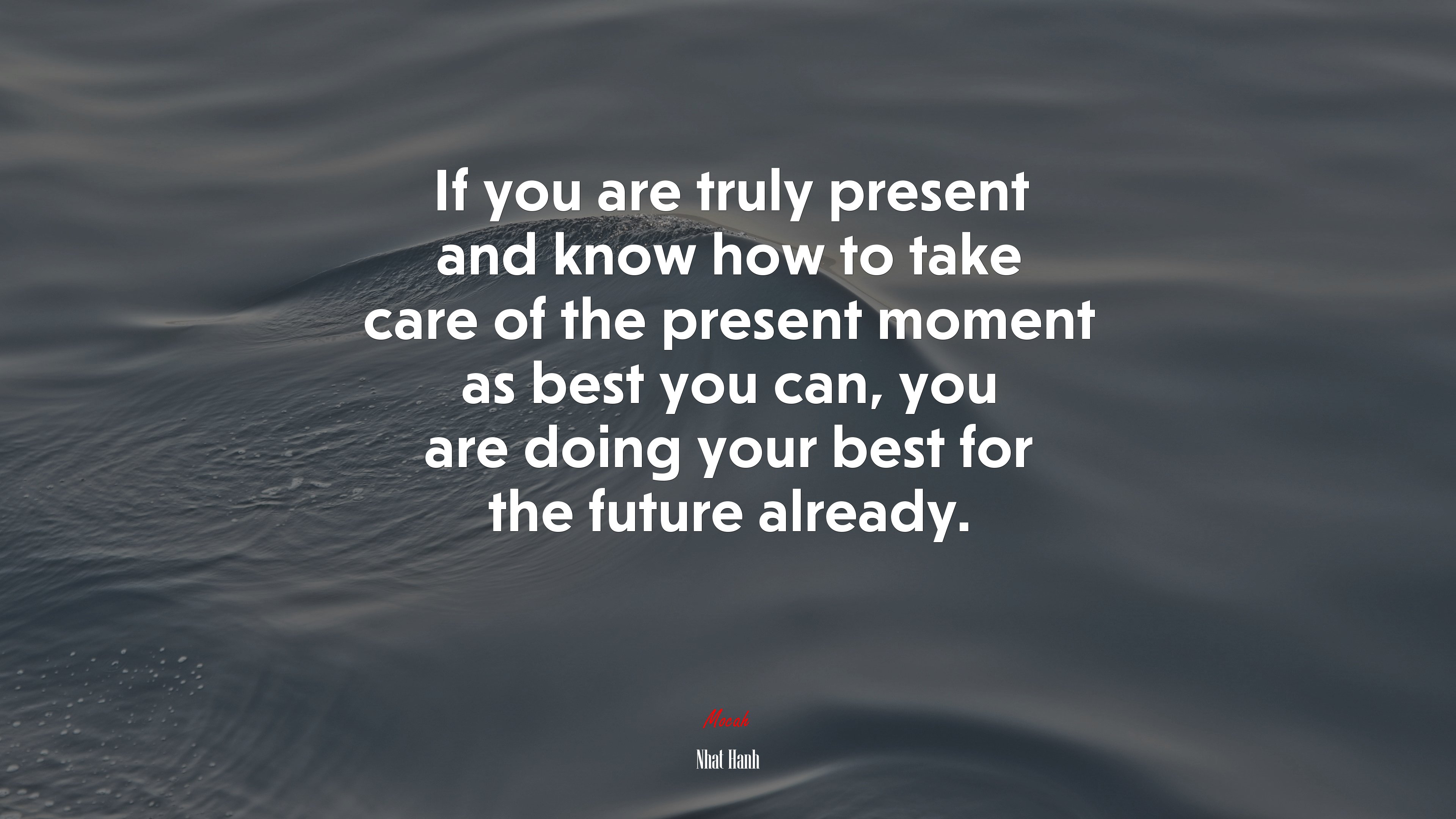 If you are truly present and know how to take care of the present moment as best you can, you are doing your best for the future already. | Nhat Hanh quote HD Wallpaper