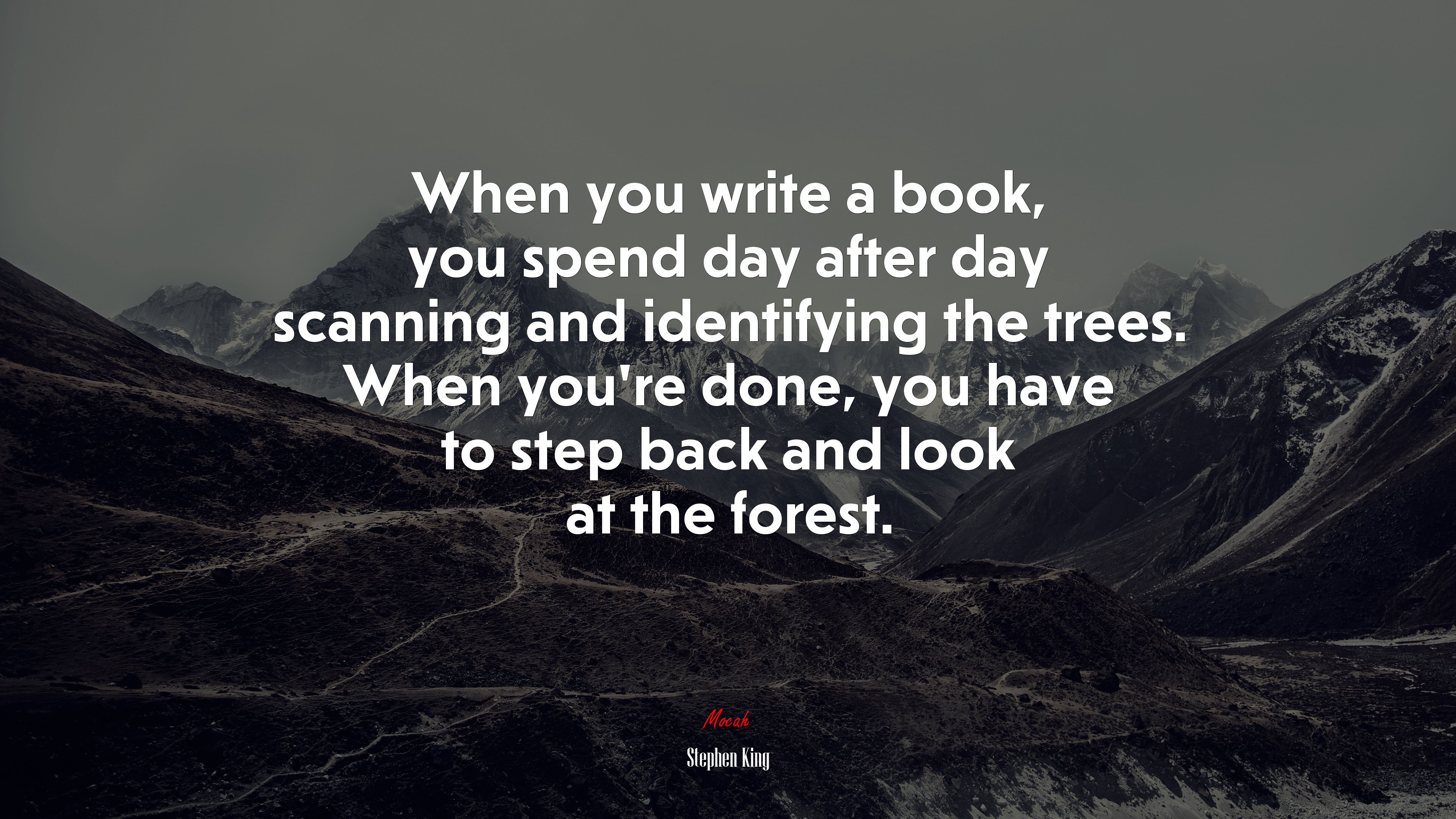 When you write a book, you spend day after day scanning and identifying the trees. When you’re done, you have to step back and look at the forest. | Stephen King quote HD Wallpaper