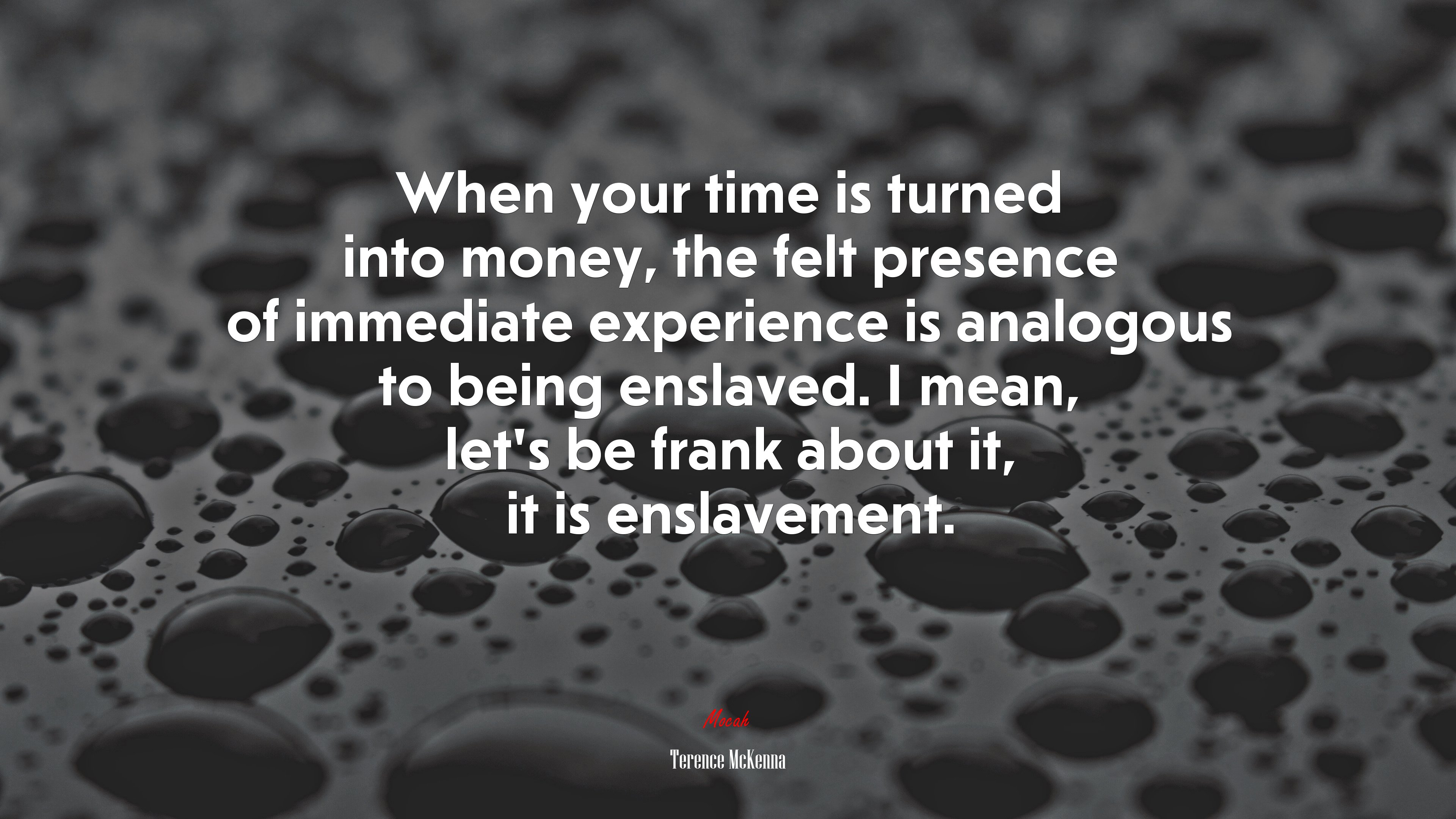 When your time is turned into money, the felt presence of immediate experience is analogous to being enslaved. I mean, let’s be frank about it, it is enslavement. | Terence McKenna quote HD Wallpaper