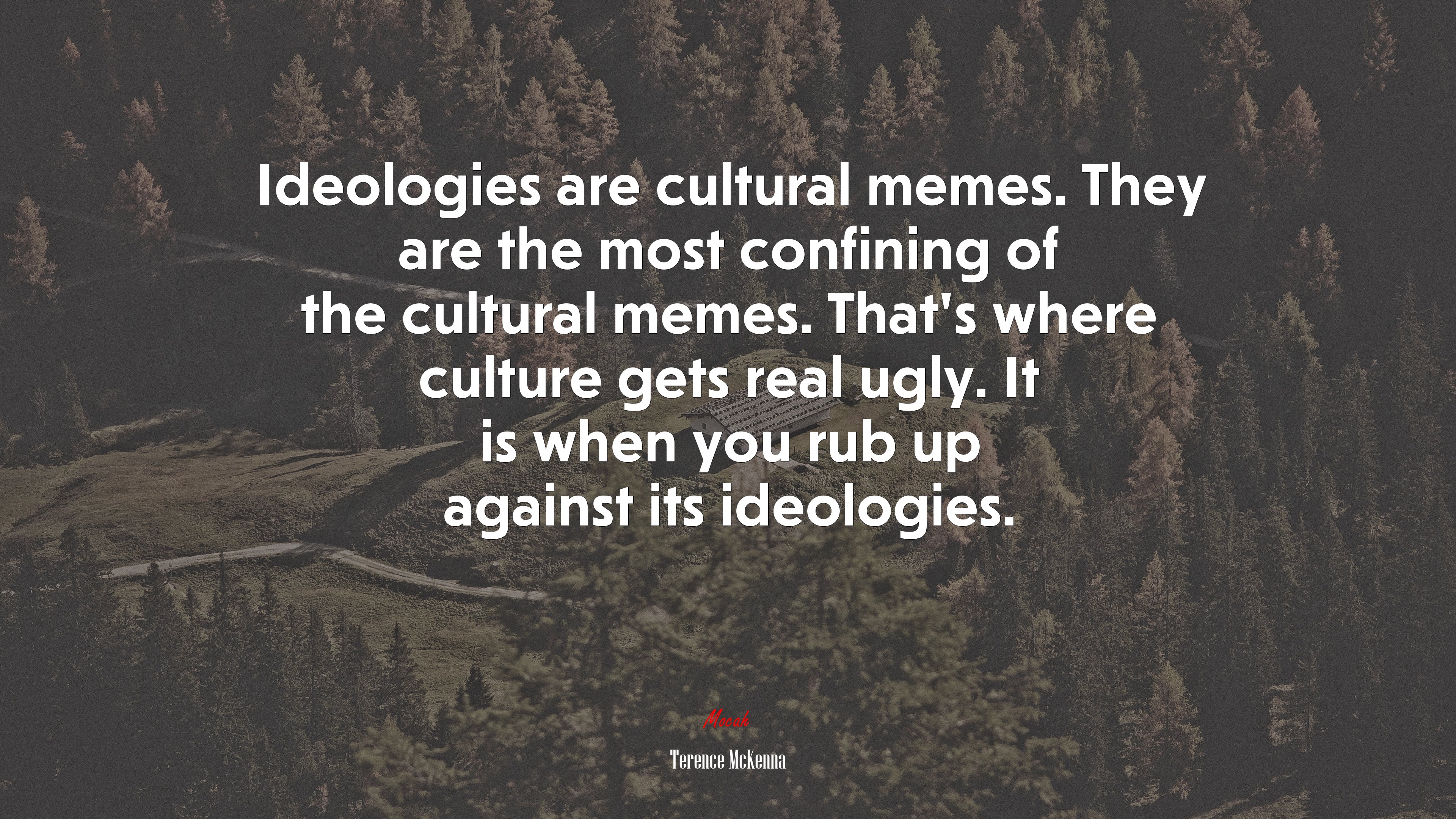 Ideologies are cultural memes. They are the most confining of the cultural memes. That’s where culture gets real ugly. It is when you rub up against its ideologies. | Terence McKenna quote HD Wallpaper