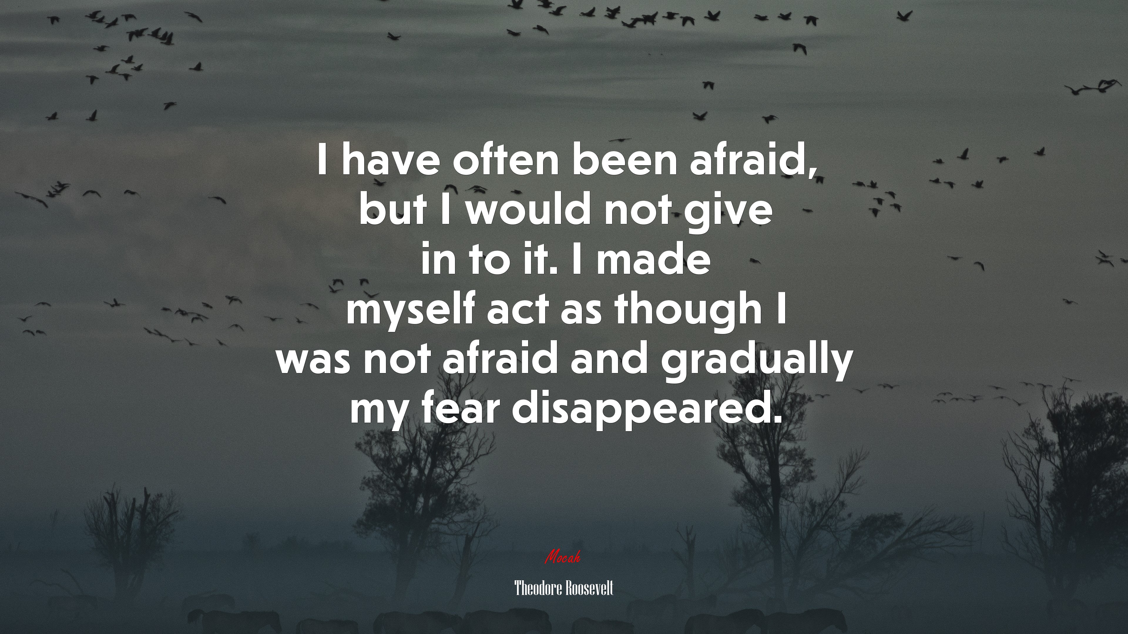 I have often been afraid, but I would not give in to it. I made myself act as though I was not afraid and gradually my fear disappeared. | Theodore Roosevelt quote HD Wallpaper