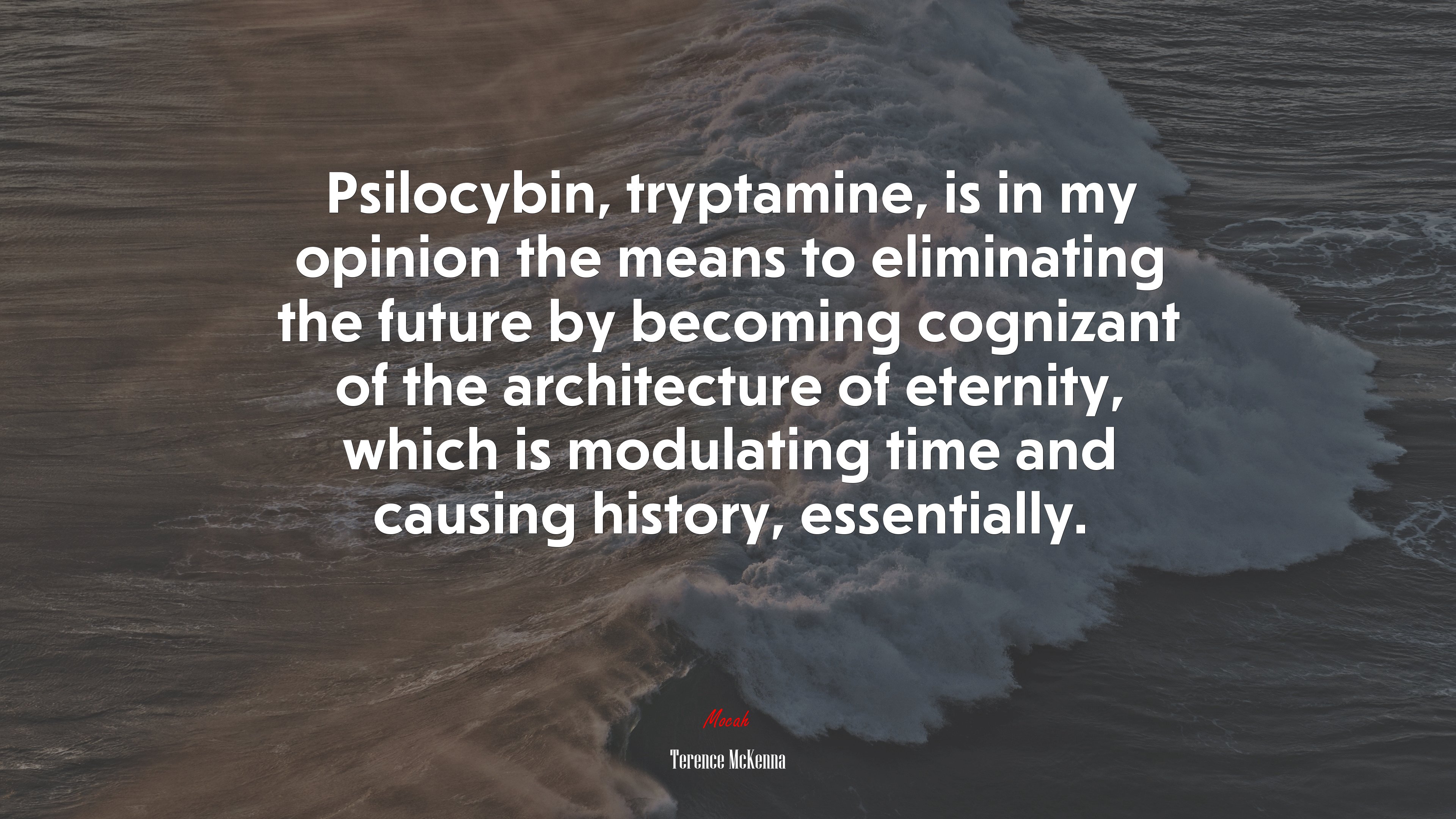 Psilocybin, tryptamine, is in my opinion the means to eliminating the future by becoming cognizant of the architecture of eternity, which is modulating time and causing history, essentially. | Terence McKenna quote HD Wallpaper