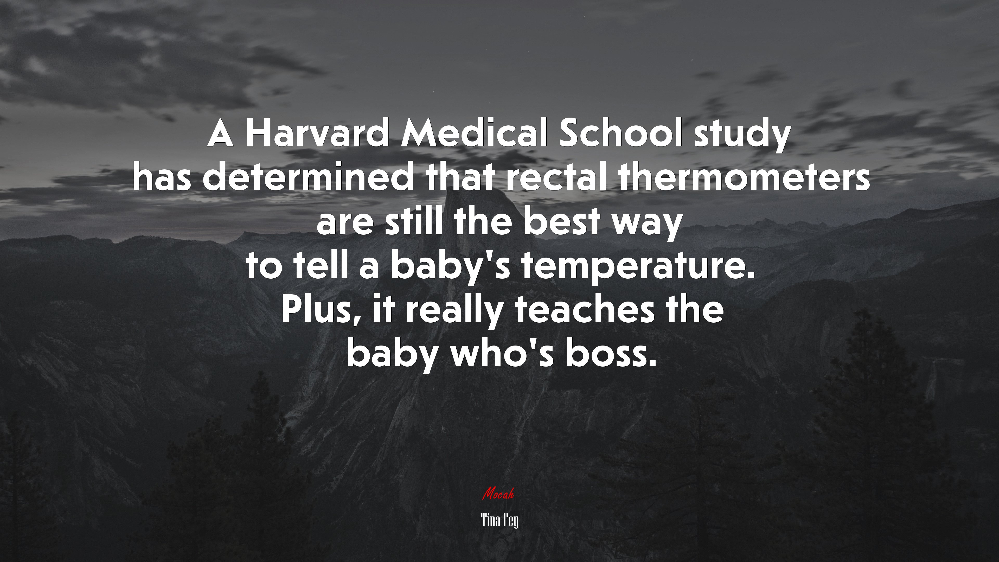 A Harvard Medical School study has determined that rectal thermometers are still the best way to tell a baby’s temperature. Plus, it really teaches the baby who’s boss. | Tina Fey quote HD Wallpaper