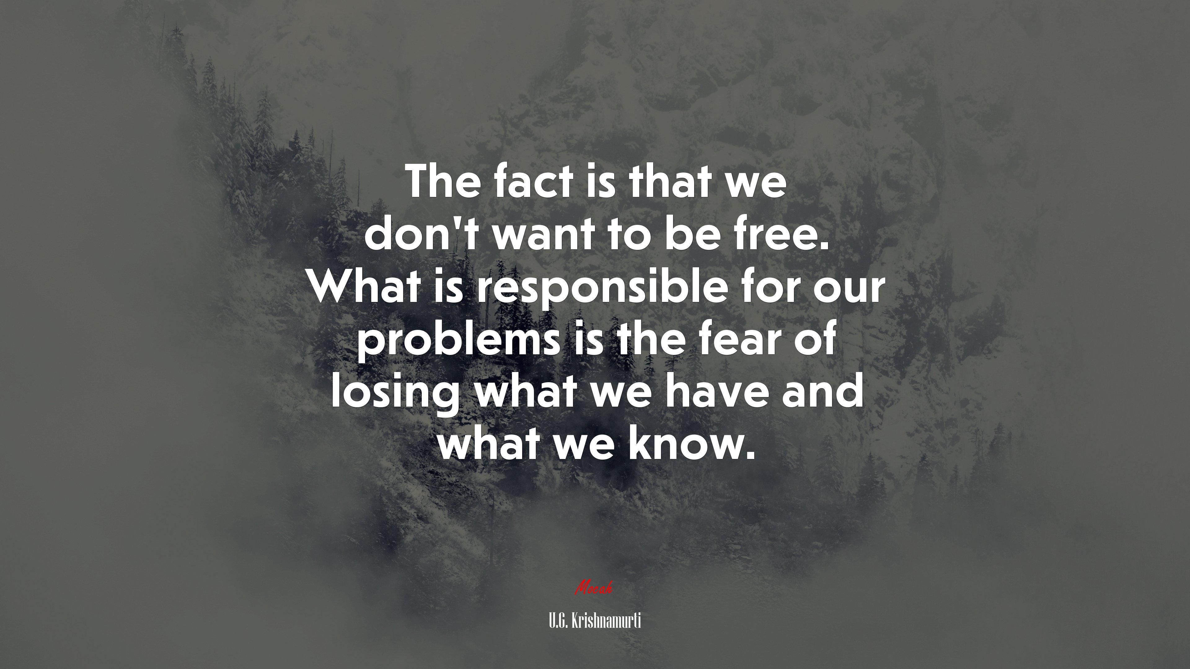The fact is that we don’t want to be free. What is responsible for our problems is the fear of losing what we have and what we know. | U.G. Krishnamurti quote HD Wallpaper