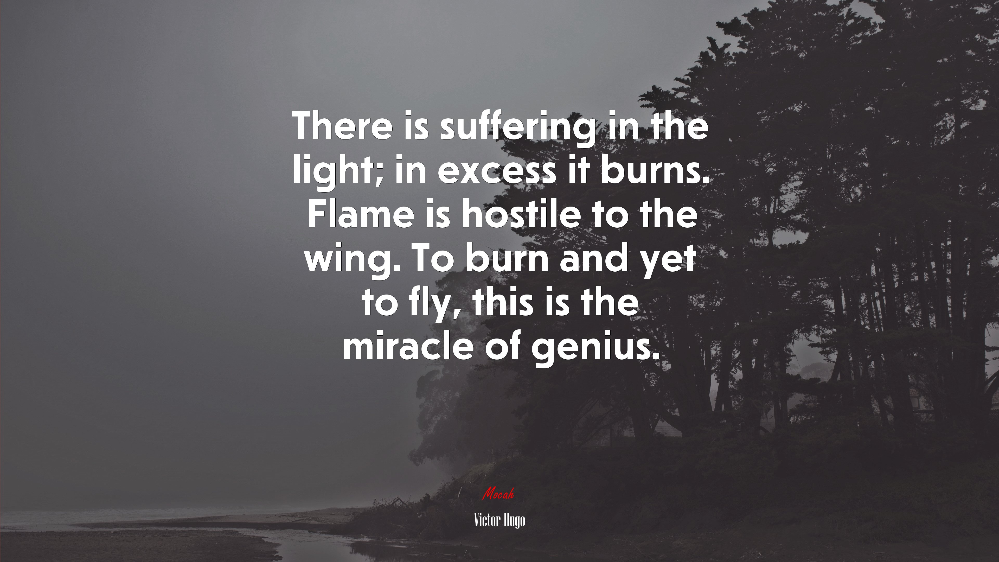 There is suffering in the light; in excess it burns. Flame is hostile to the wing. To burn and yet to fly, this is the miracle of genius. | Victor Hugo quote HD Wallpaper