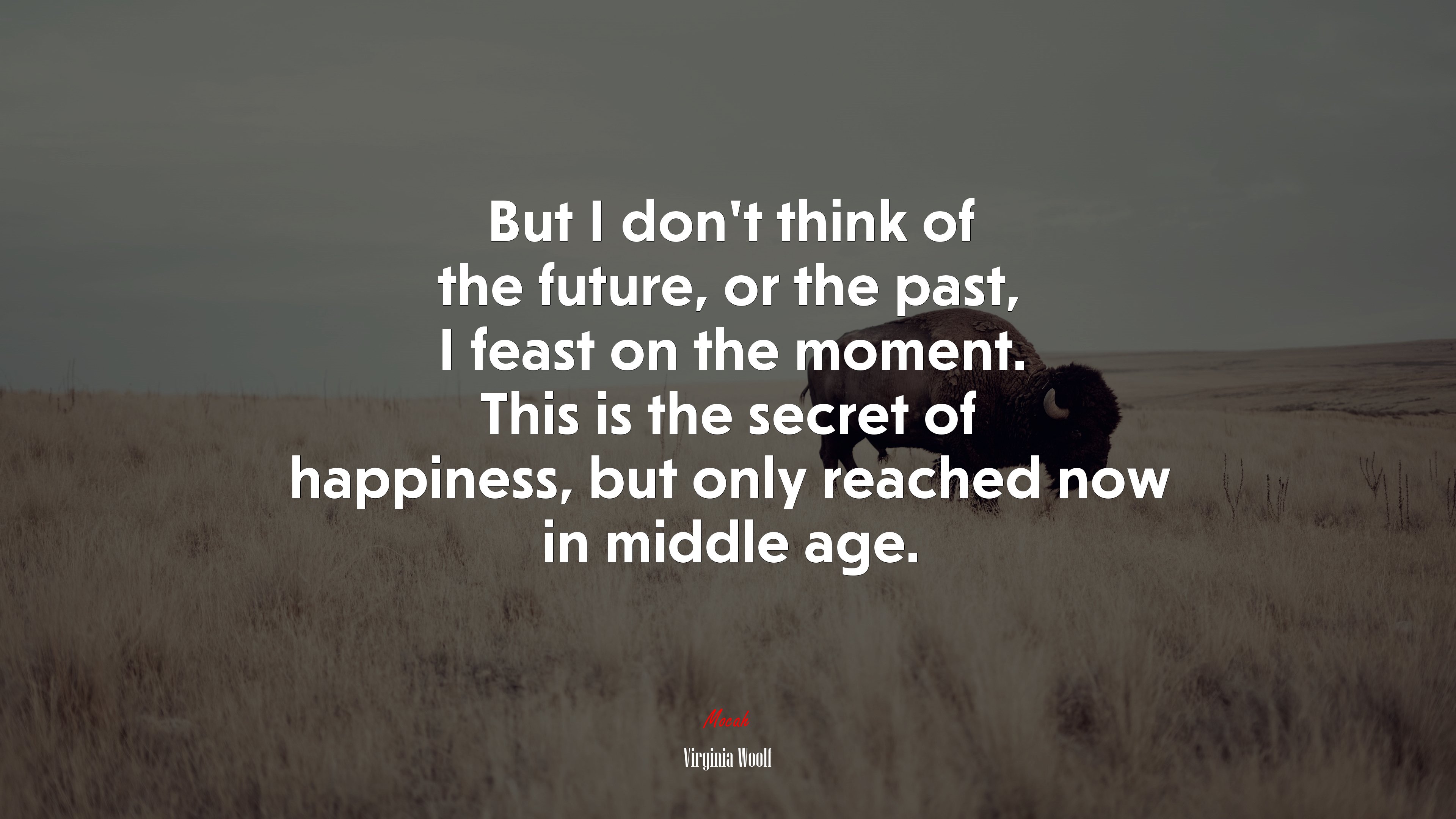 But I don’t think of the future, or the past, I feast on the moment. This is the secret of happiness, but only reached now in middle age. | Virginia Woolf quote HD Wallpaper