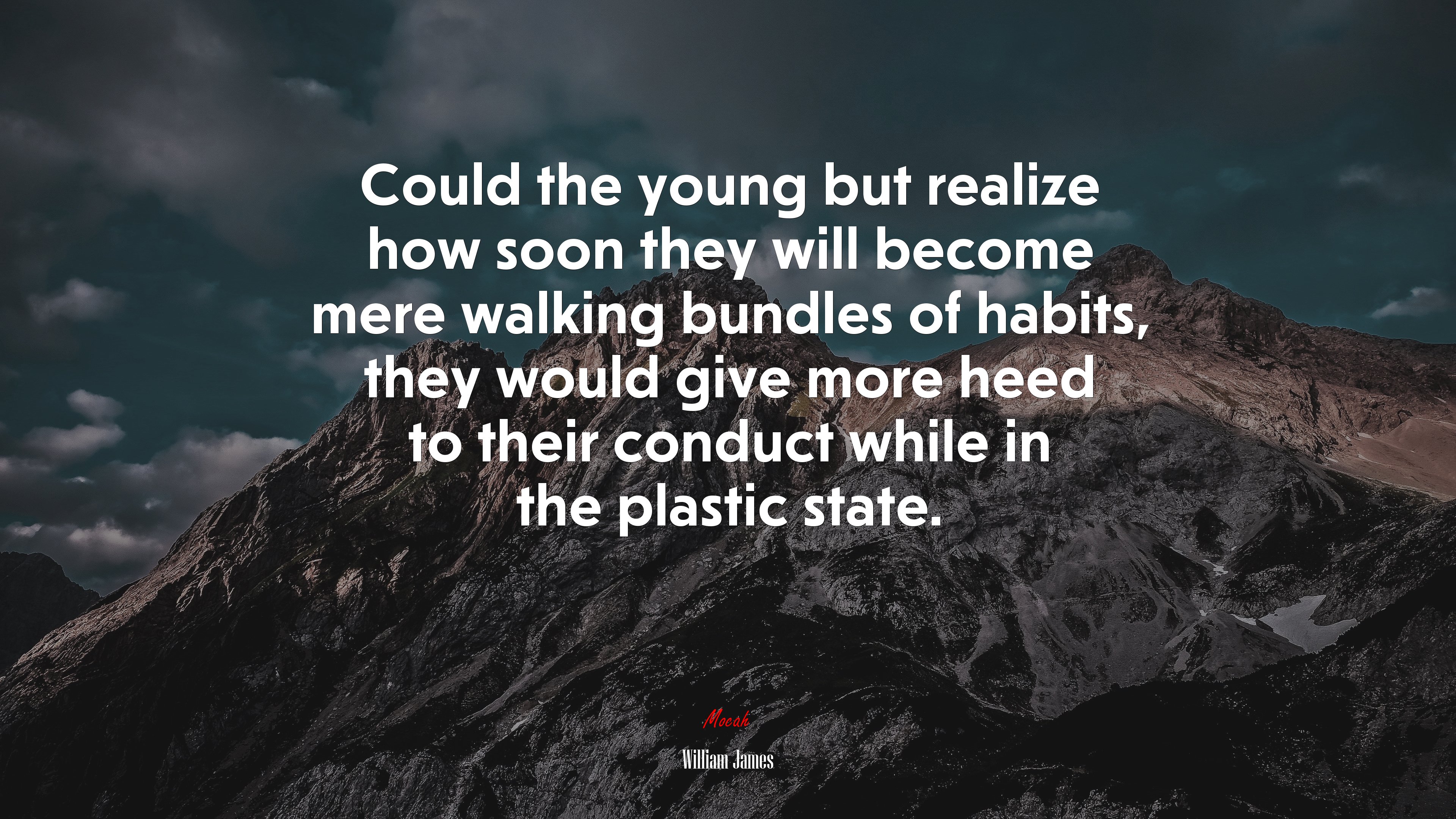 Could the young but realize how soon they will become mere walking bundles of habits, they would give more heed to their conduct while in the plastic state. | William James quote HD Wallpaper