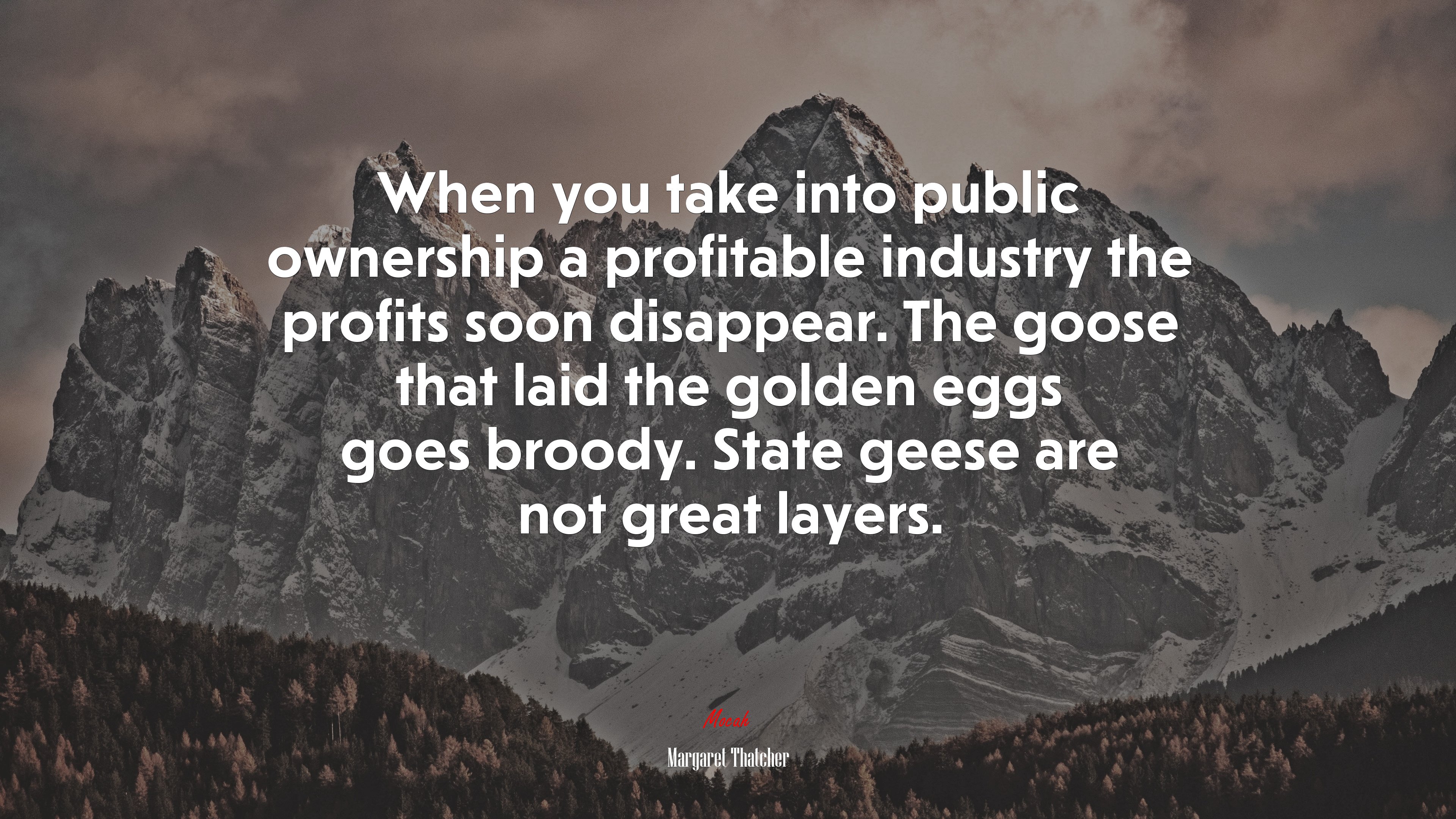 When you take into public ownership a profitable industry the profits soon disappear. The goose that laid the golden eggs goes broody. State geese are not great layers. | Margaret Thatcher quote HD Wallpaper