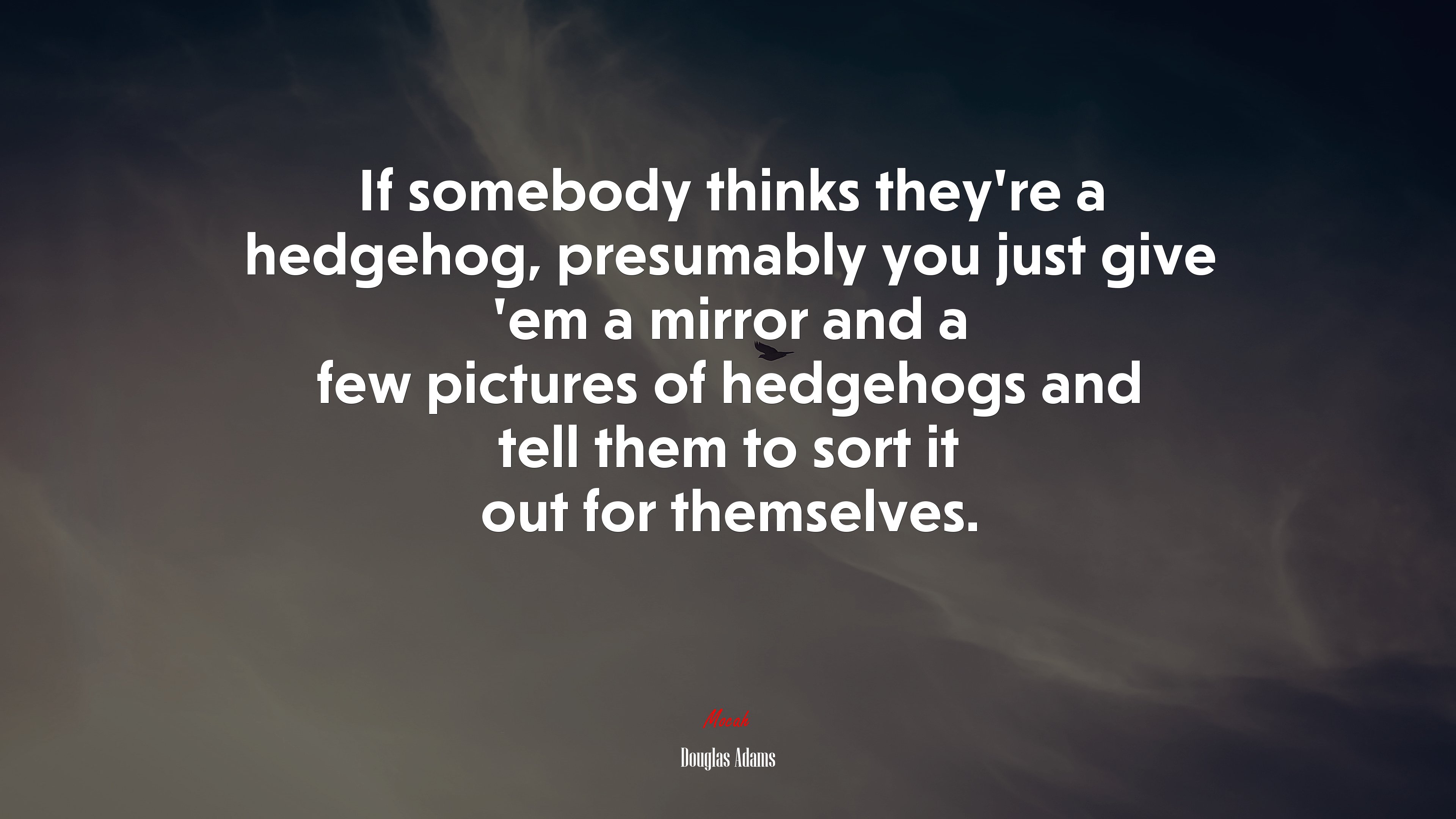 If somebody thinks they’re a hedgehog, presumably you just give ’em a mirror and a few pictures of hedgehogs and tell them to sort it out for themselves. | Douglas Adams quote HD Wallpaper