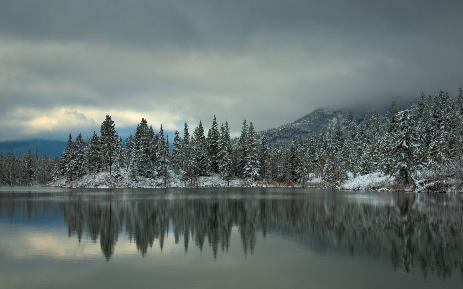 Snow-covered trees reflected in a calm lake under a cloudy sky HD Wallpaper