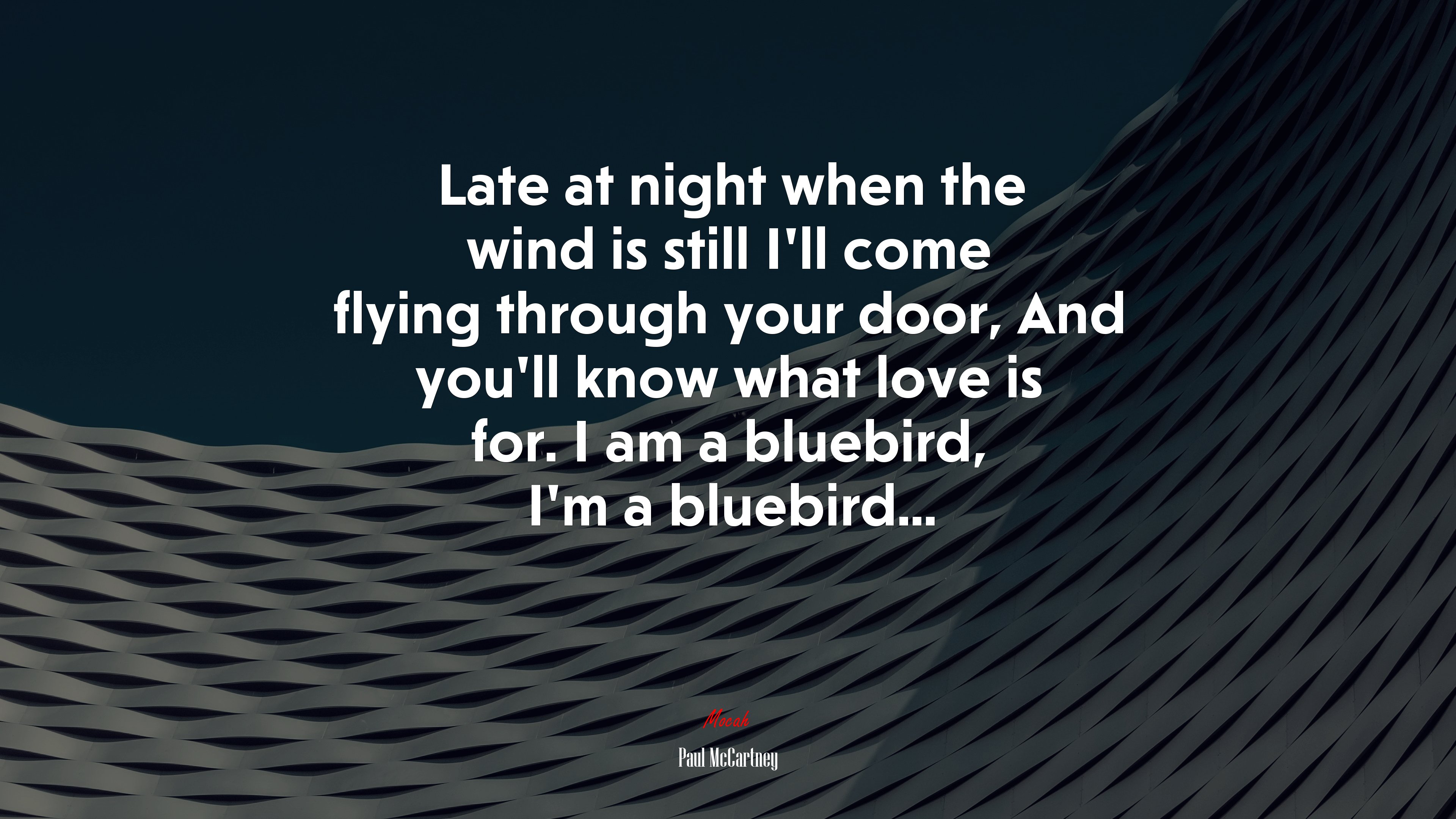 Late at night when the wind is still I’ll come flying through your door, And you’ll know what love is for. I am a bluebird, I’m a bluebird... | Paul McCartney quote HD Wallpaper