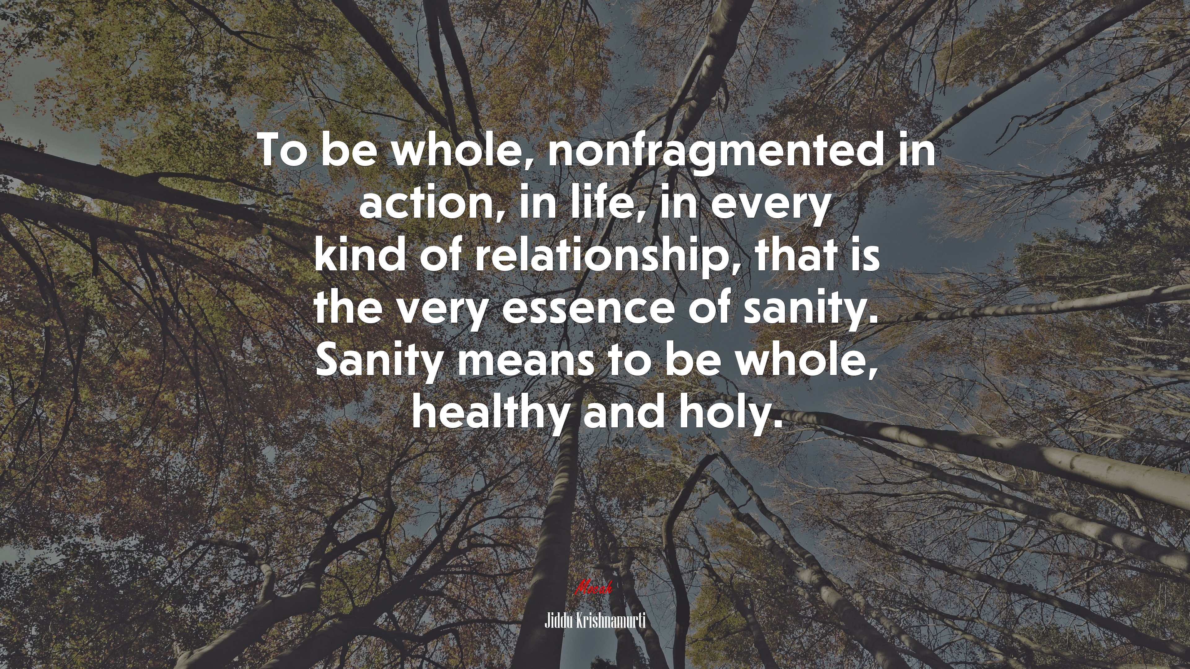 To be whole, nonfragmented in action, in life, in every kind of relationship, that is the very essence of sanity. Sanity means to be whole, healthy and holy. | Jiddu Krishnamurti quote HD Wallpaper