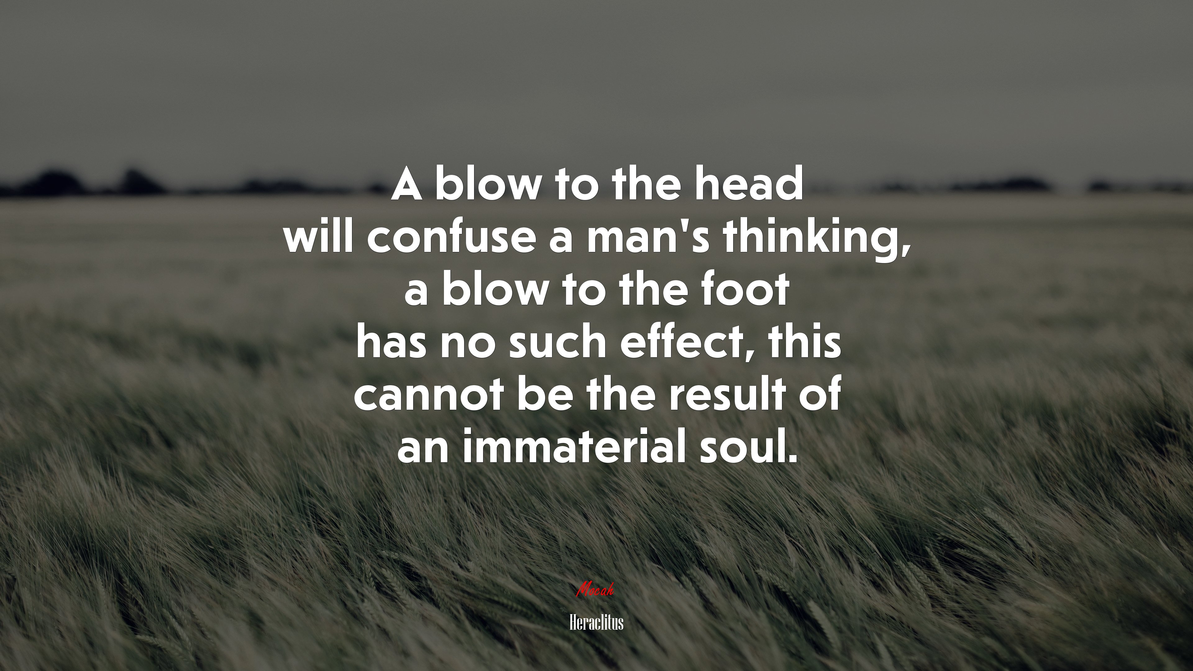 A blow to the head will confuse a man’s thinking, a blow to the foot has no such effect, this cannot be the result of an immaterial soul. | Heraclitus quote HD Wallpaper