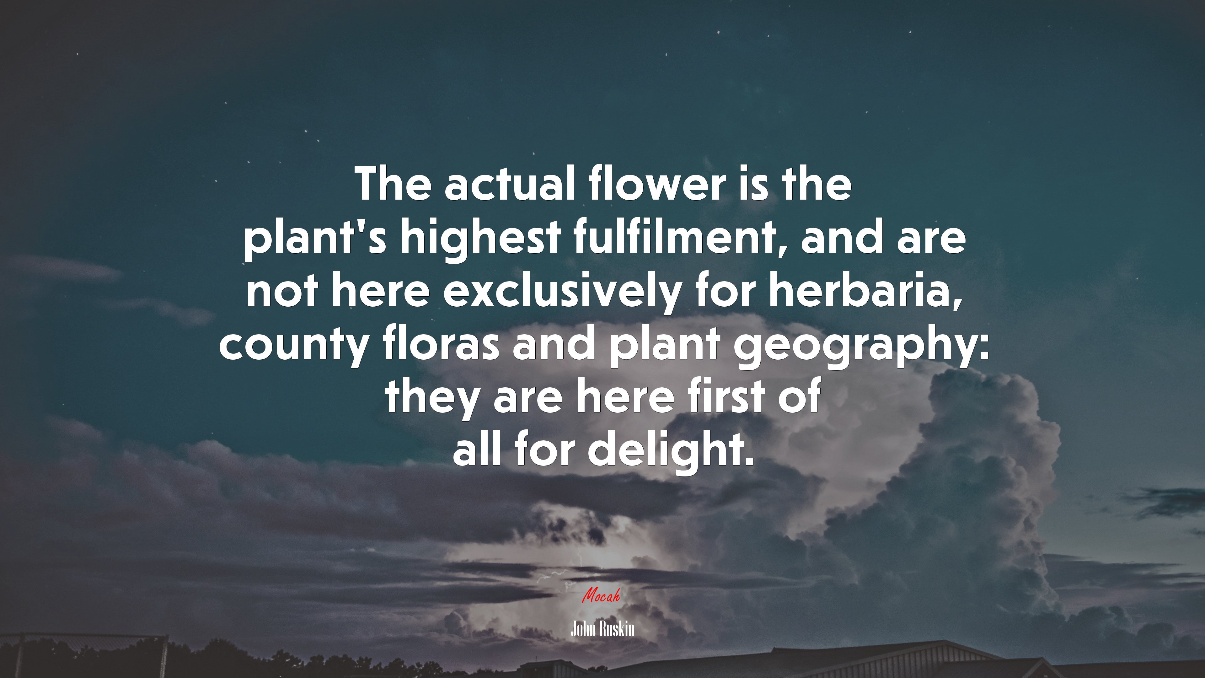 The actual flower is the plant’s highest fulfilment, and are not here exclusively for herbaria, county floras and plant geography: they are here first of all for delight. | John Ruskin quote HD Wallpaper