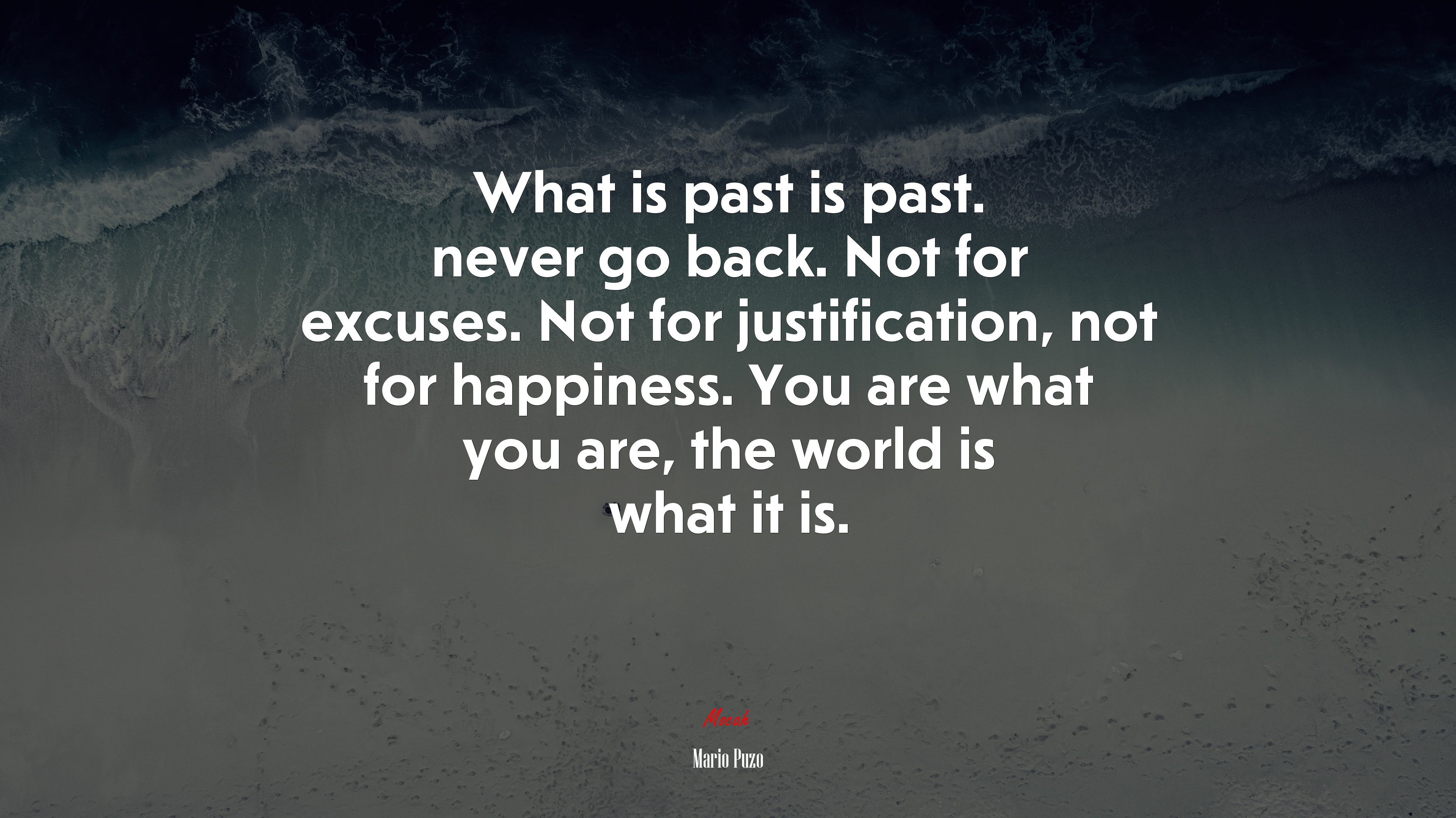 What is past is past. never go back. Not for excuses. Not for justification, not for happiness. You are what you are, the world is what it is. | Mario Puzo quote HD Wallpaper