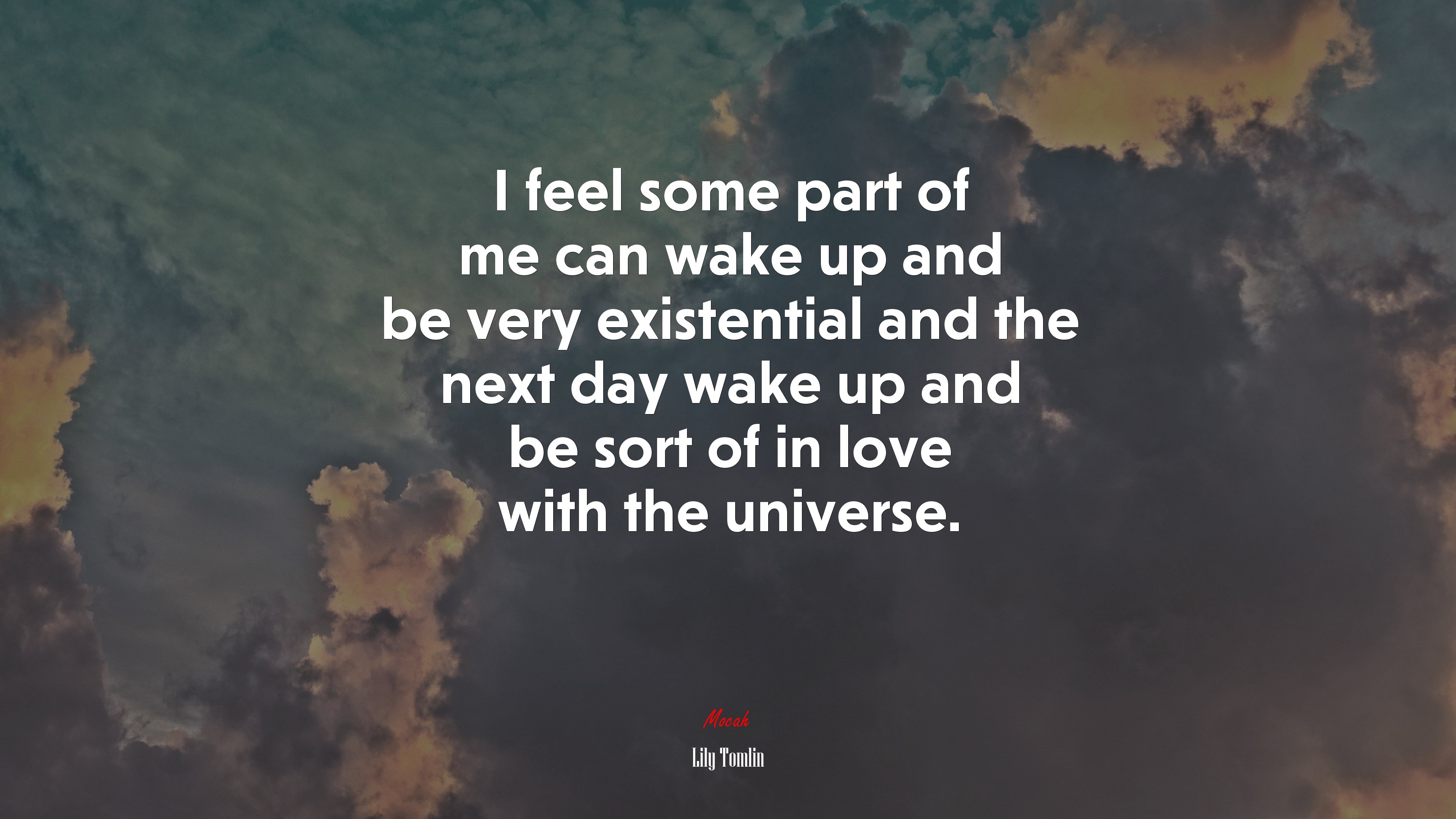 I feel some part of me can wake up and be very existential and the next day wake up and be sort of in love with the universe. | Lily Tomlin quote HD Wallpaper