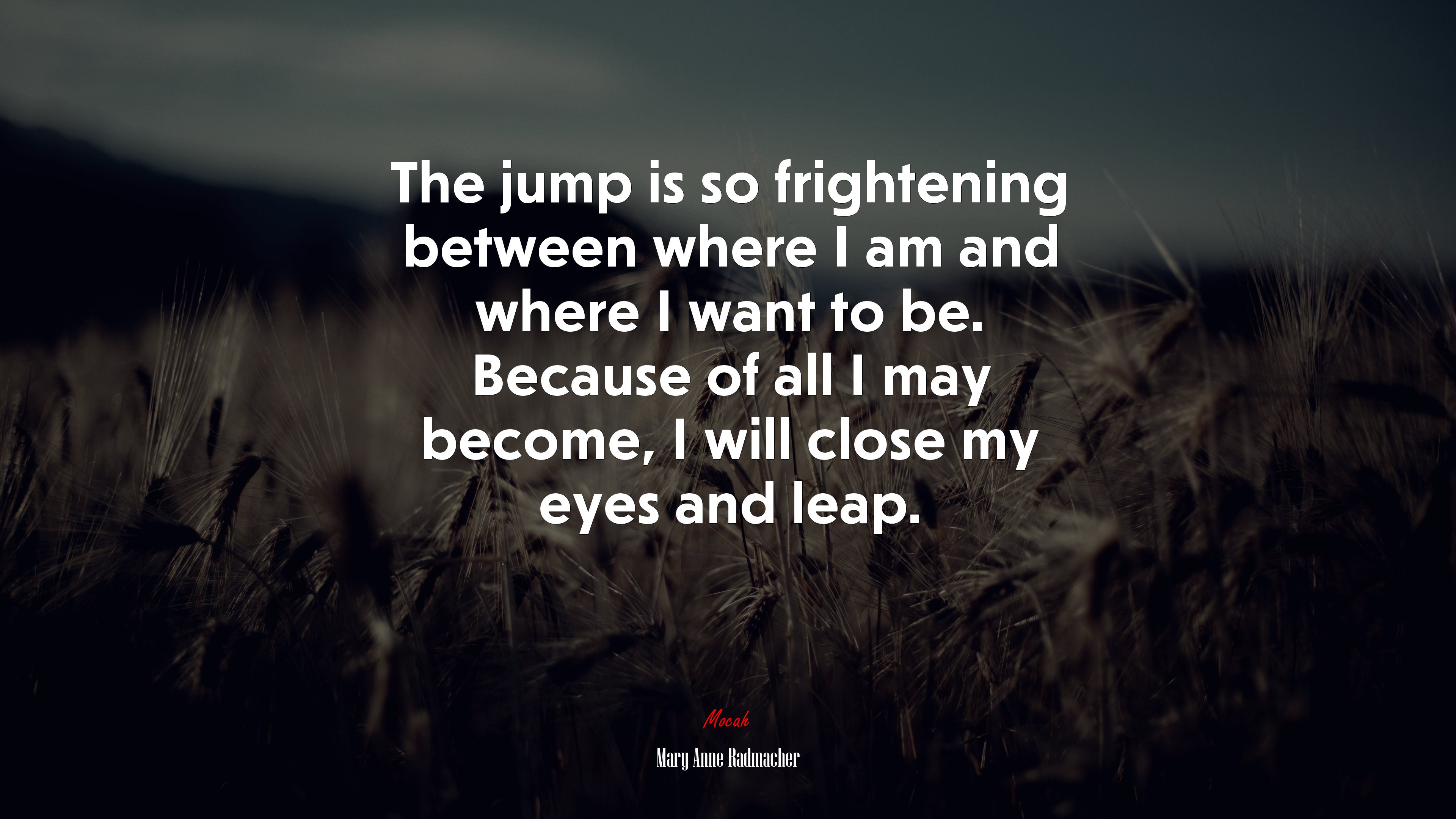 The jump is so frightening between where I am and where I want to be. Because of all I may become, I will close my eyes and leap. | Mary Anne Radmacher quote HD Wallpaper