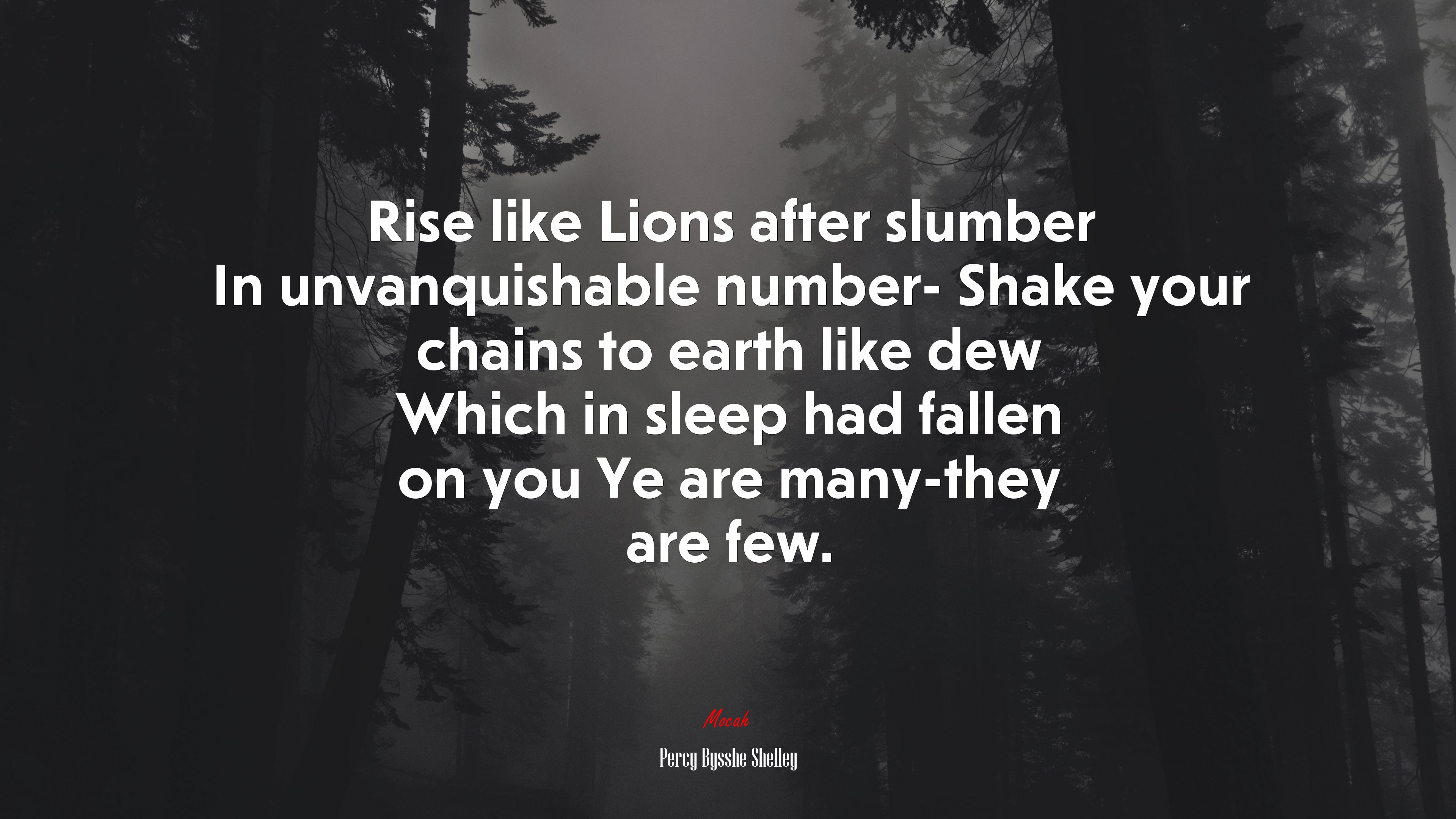 Rise like Lions after slumber In unvanquishable number- Shake your chains to earth like dew Which in sleep had fallen on you Ye are many-they are few. | Percy Bysshe Shelley quote HD Wallpaper