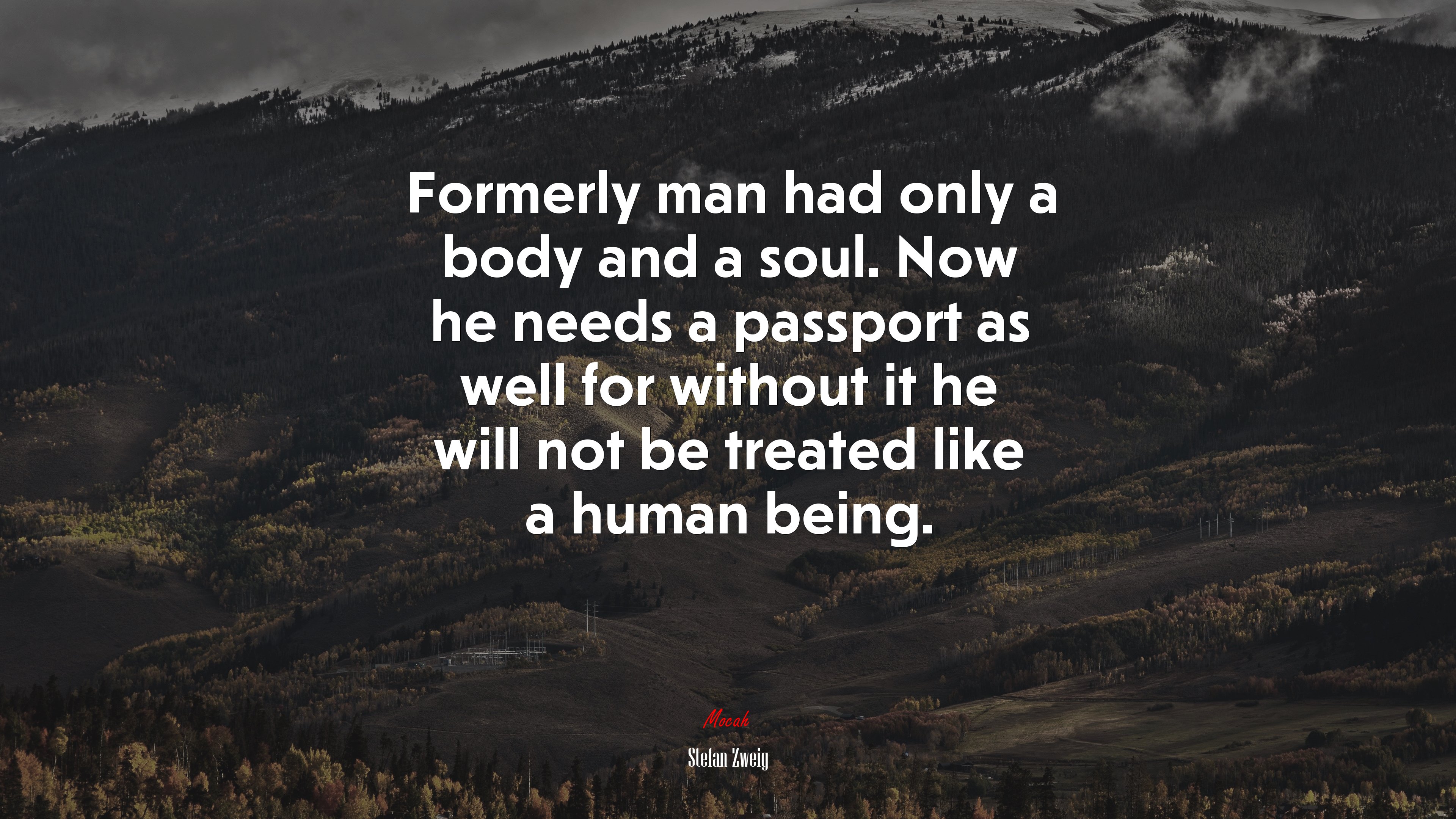 Formerly man had only a body and a soul. Now he needs a passport as well for without it he will not be treated like a human being. | Stefan Zweig quote HD Wallpaper