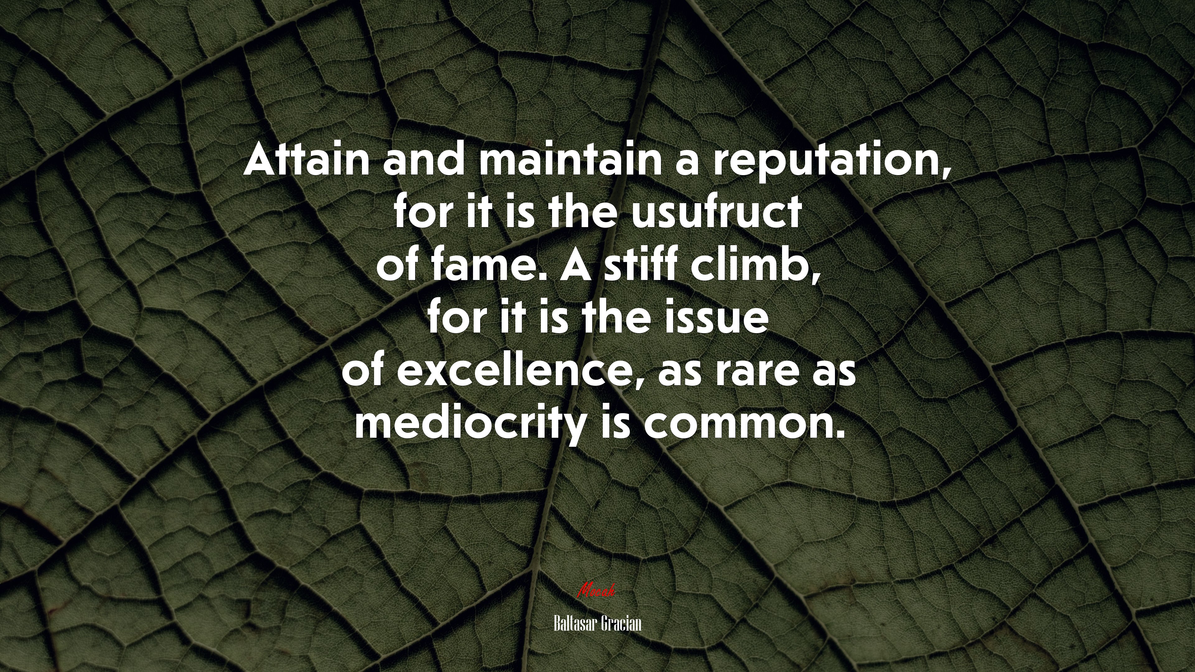 Attain and maintain a reputation, for it is the usufruct of fame. A stiff climb, for it is the issue of excellence, as rare as mediocrity is common. | Baltasar Gracián quote HD Wallpaper