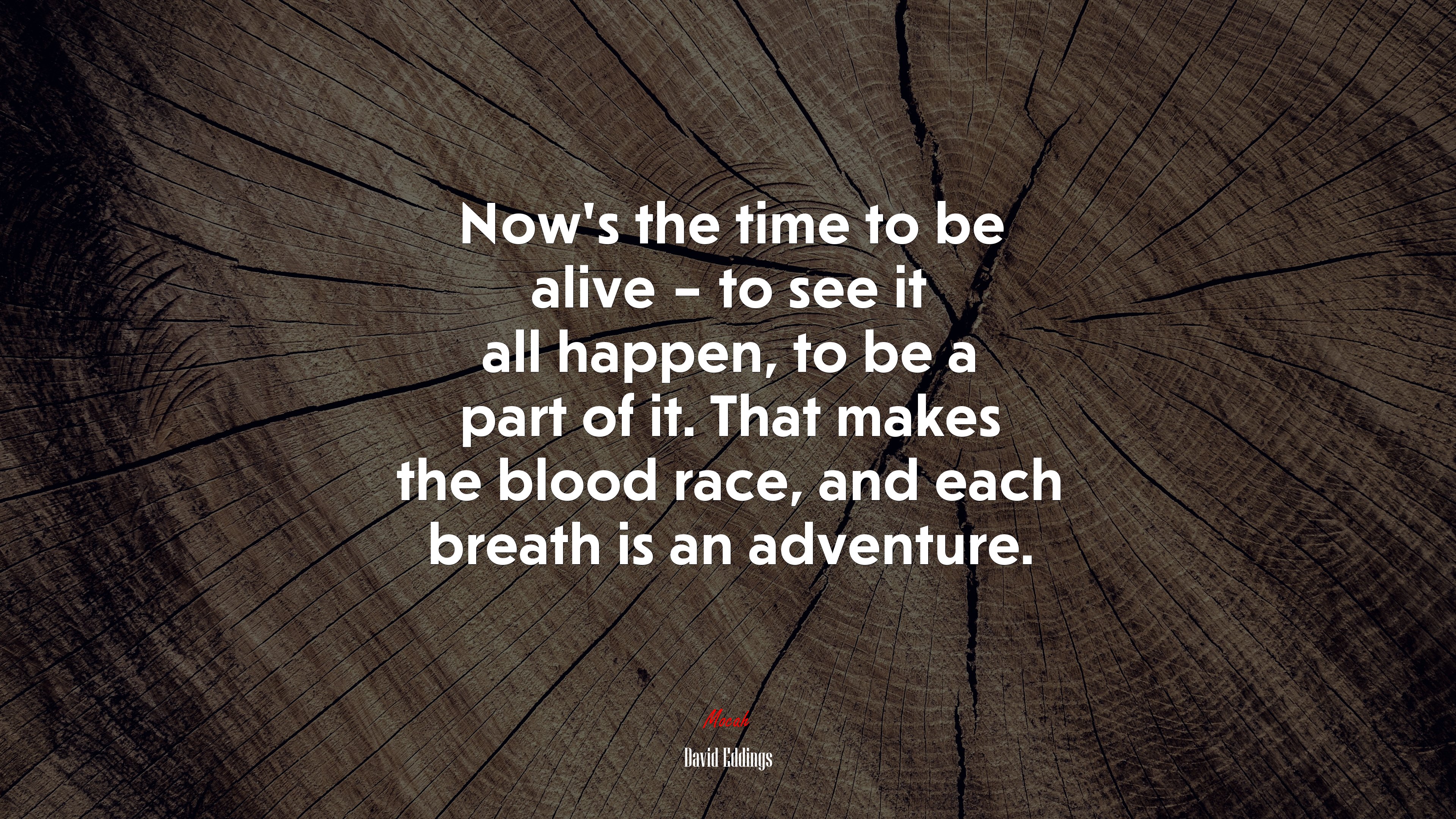 Now’s the time to be alive – to see it all happen, to be a part of it. That makes the blood race, and each breath is an adventure. | David Eddings quote HD Wallpaper