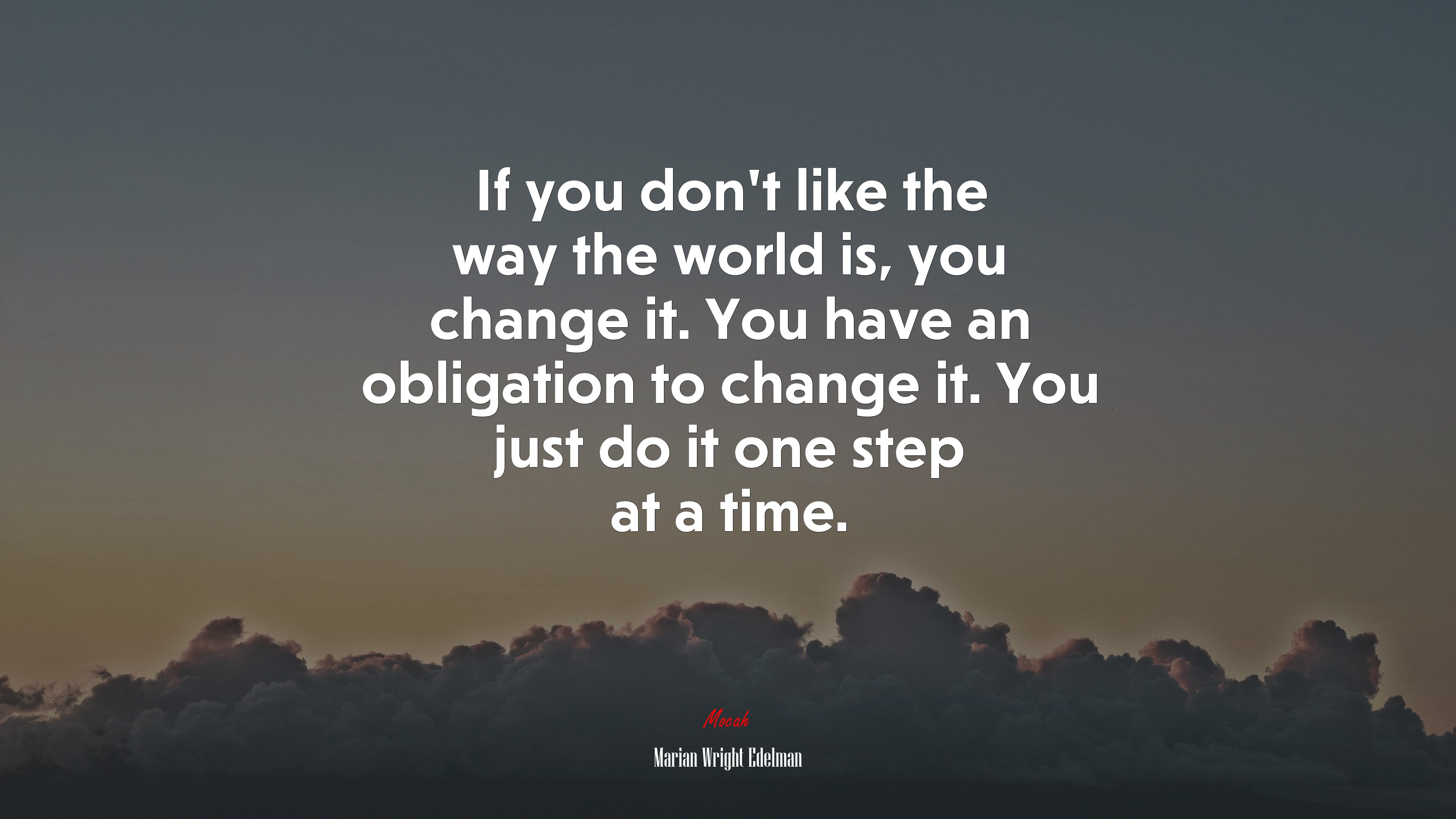 If you don’t like the way the world is, you change it. You have an obligation to change it. You just do it one step at a time. | Marian Wright Edelman quote HD Wallpaper