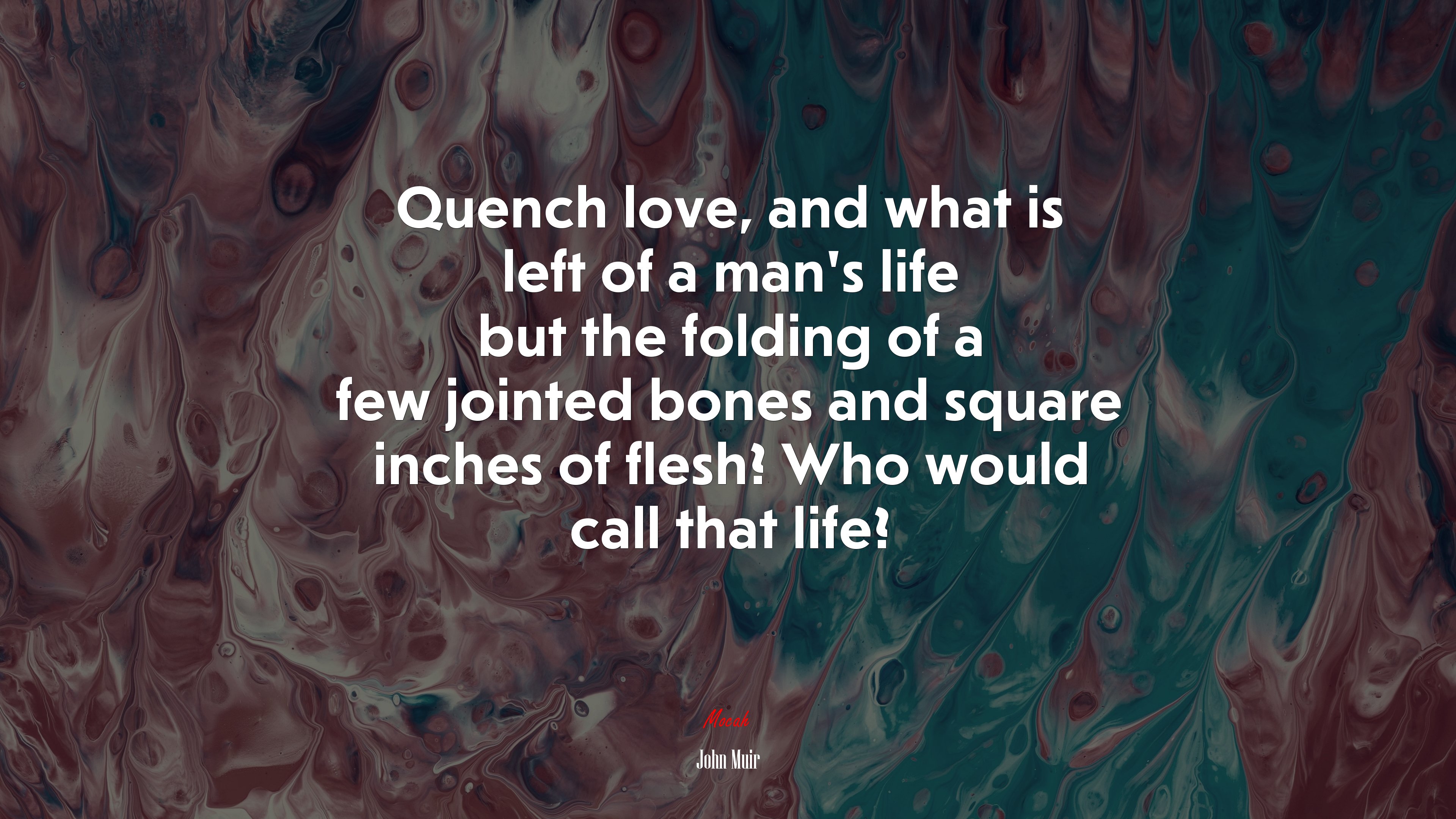 Quench love, and what is left of a man’s life but the folding of a few jointed bones and square inches of flesh? Who would call that life? | John Muir quote HD Wallpaper