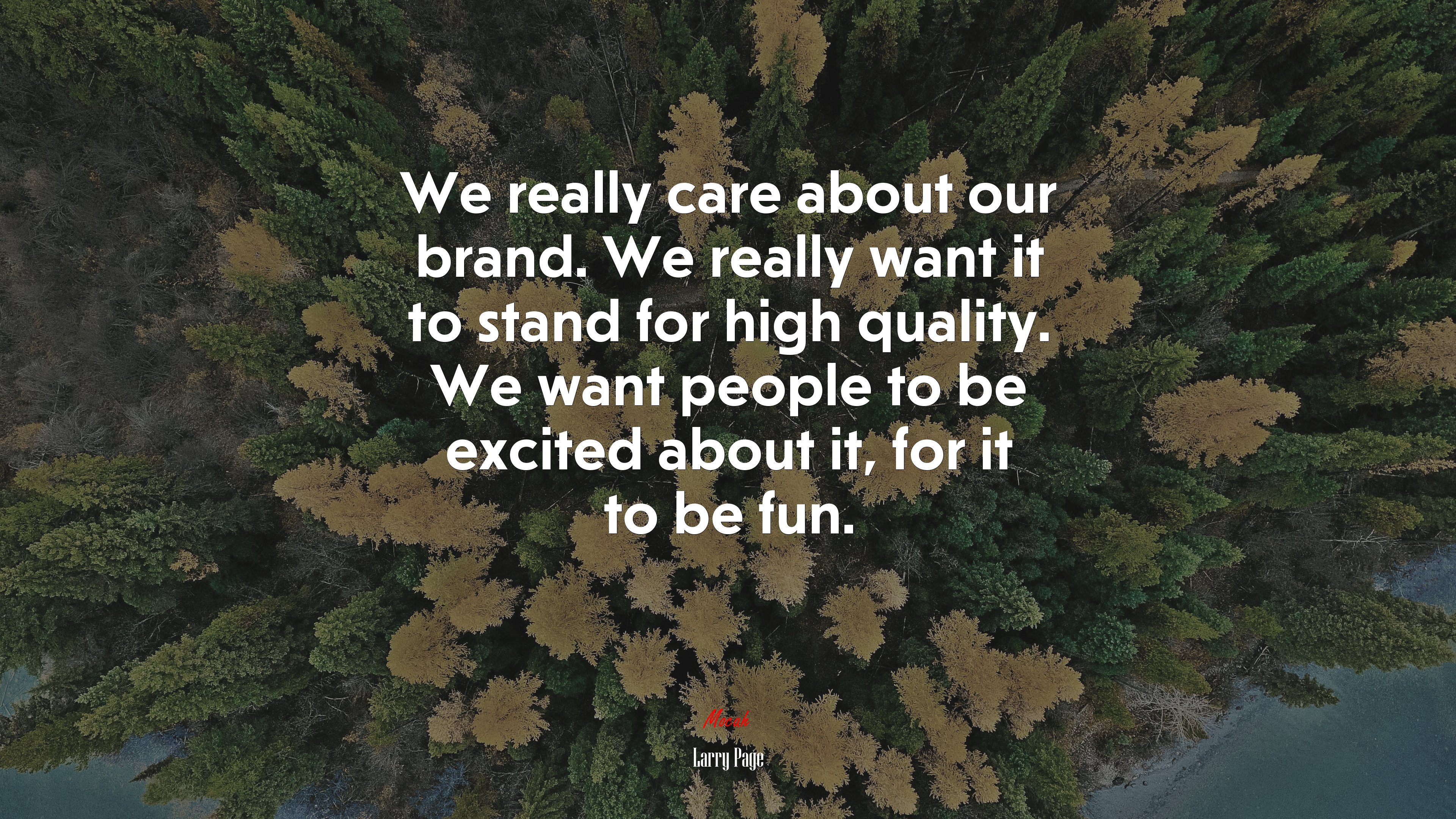We really care about our brand. We really want it to stand for high quality. We want people to be excited about it, for it to be fun. | Larry Page quote HD Wallpaper